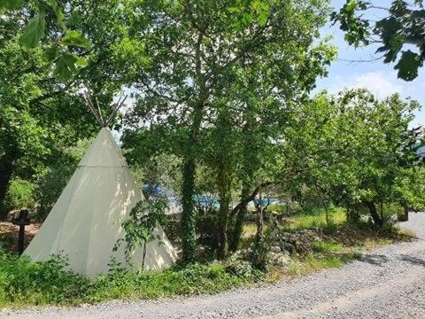 Tent - Photo 4