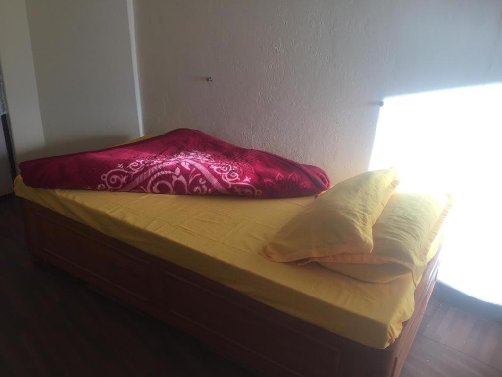 Single Bed in Mixed Dormitory Room photo 1