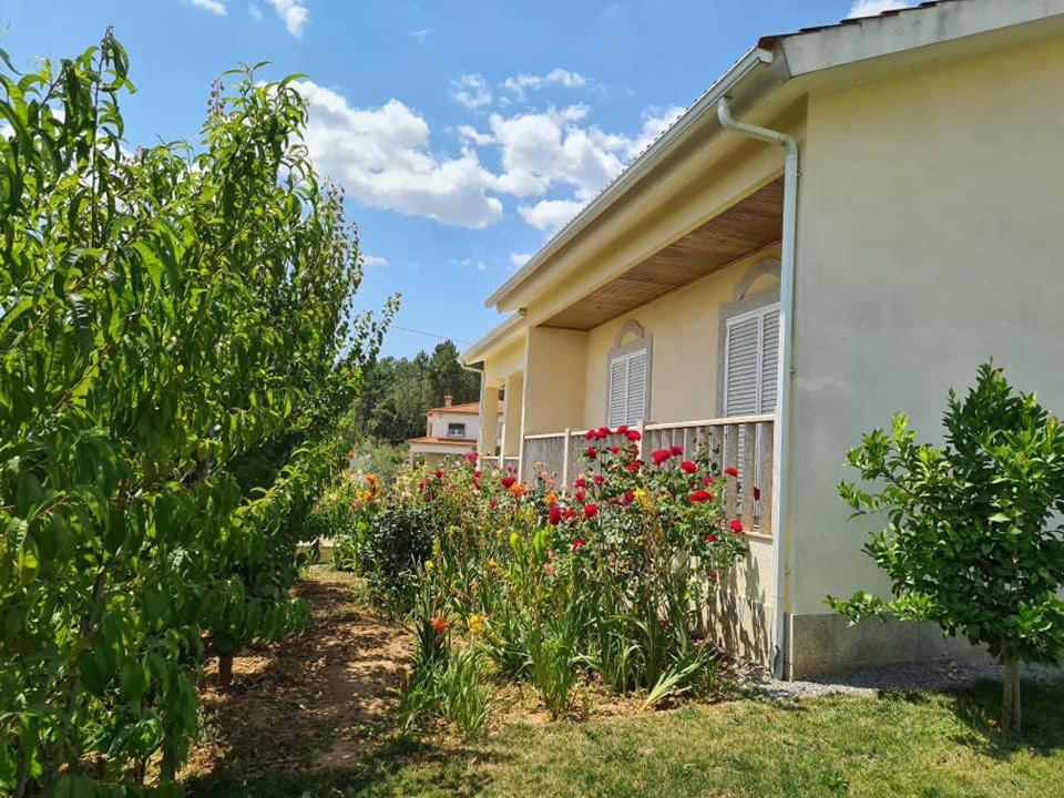 Three-Bedroom House photo 2