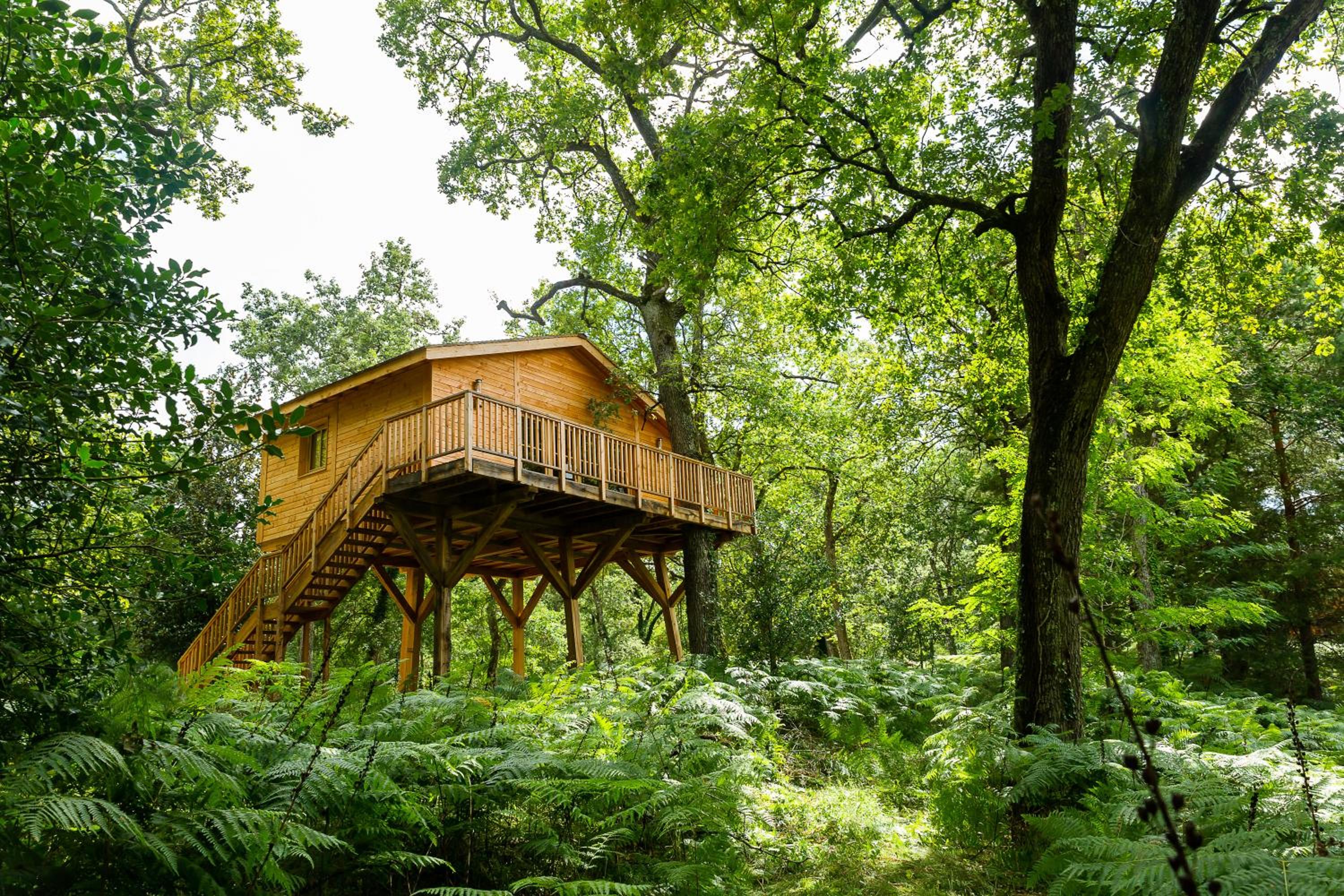 Quadruple Tree House - Photo 2