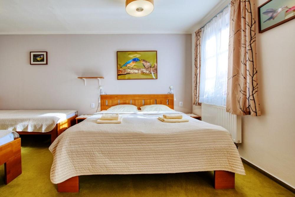 Quadruple Room photo 1