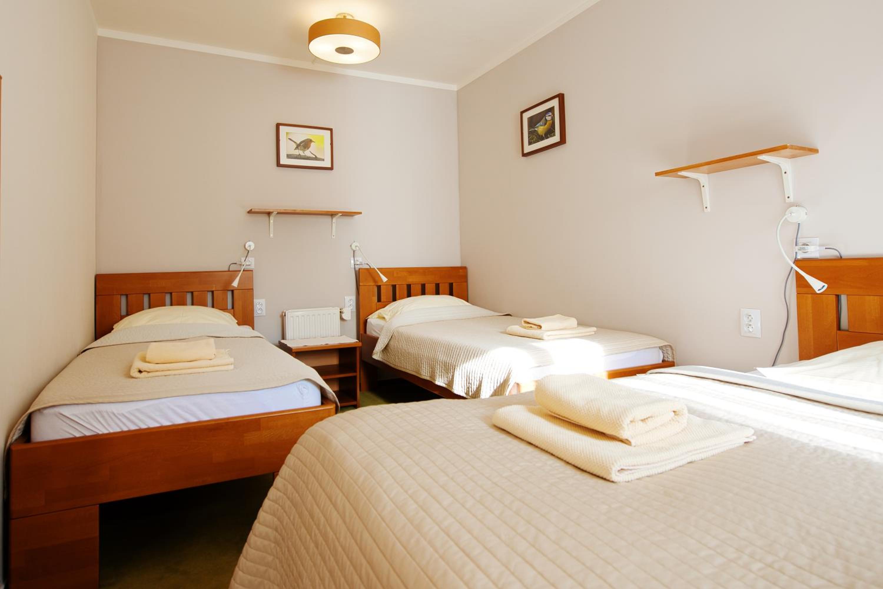 Quadruple Room photo 1