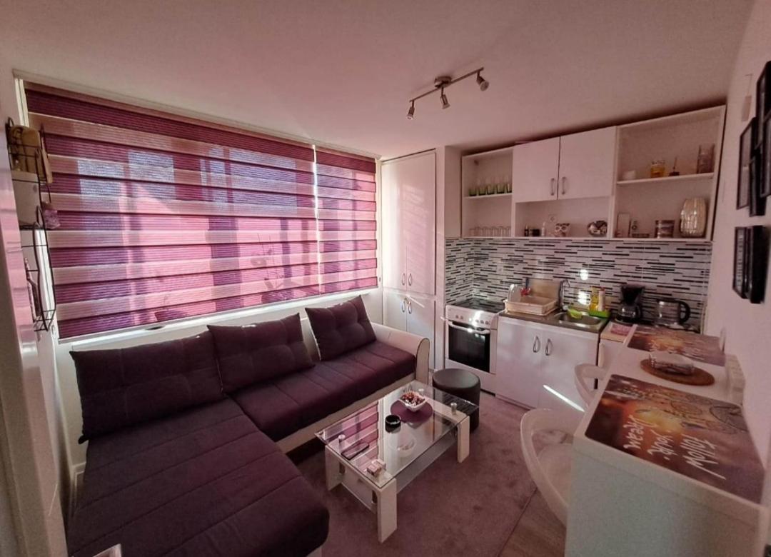 One-Bedroom Apartment photo 3
