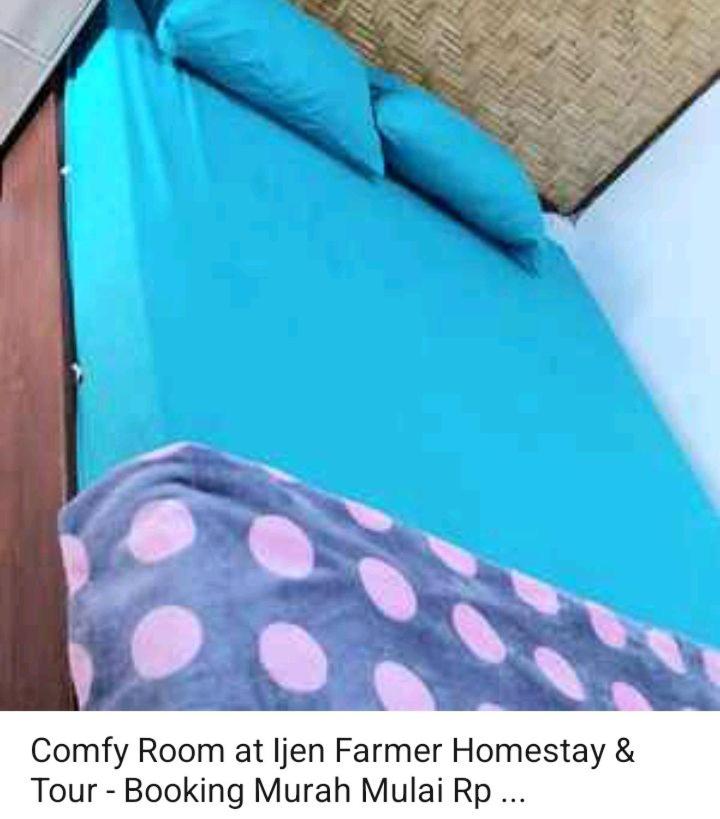 Budget Double Room photo 1