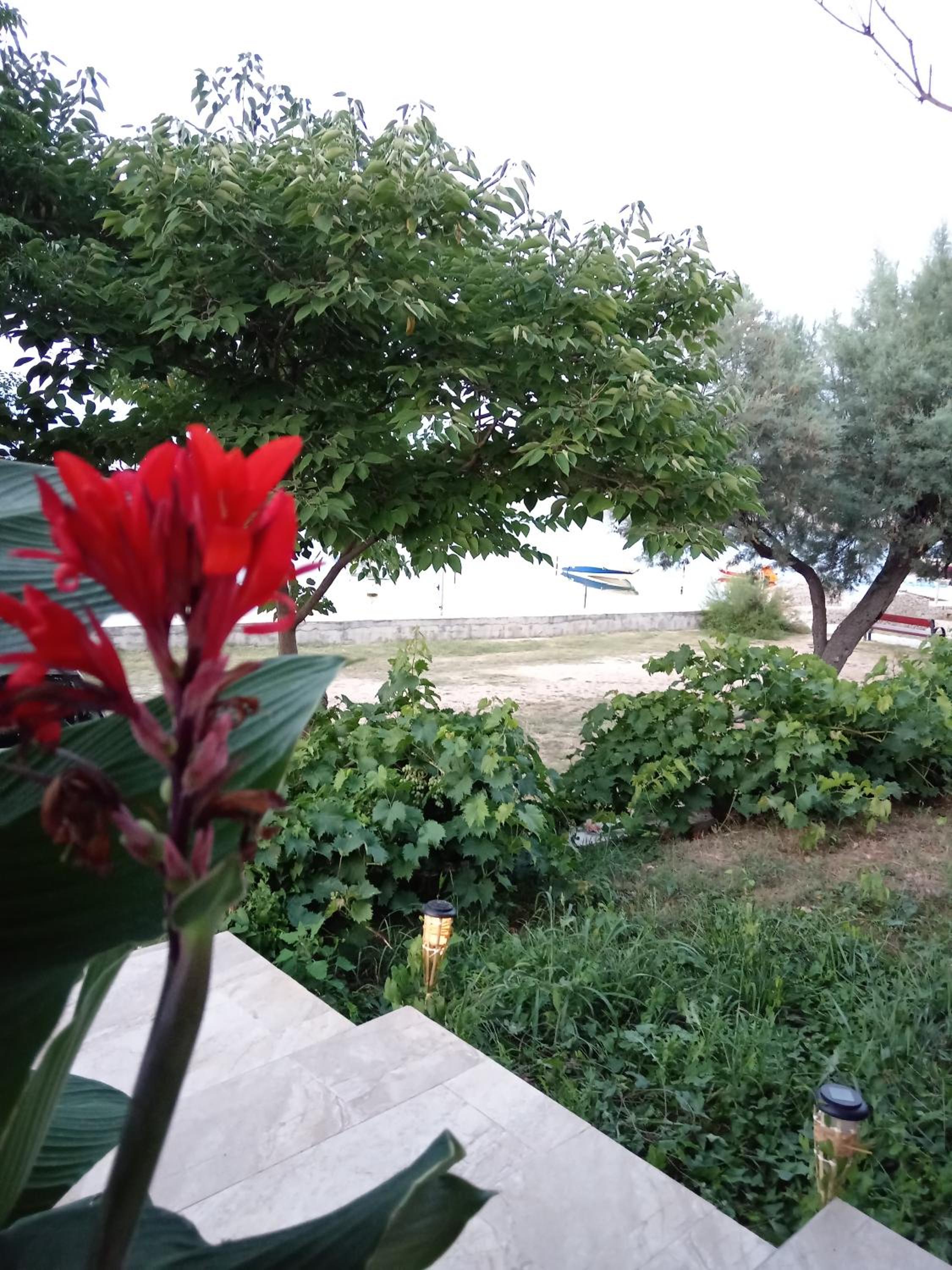 Apartment - Ground Floor photo 3