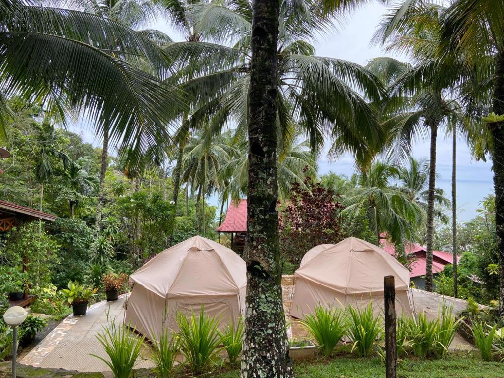 Tent - Photo 2
