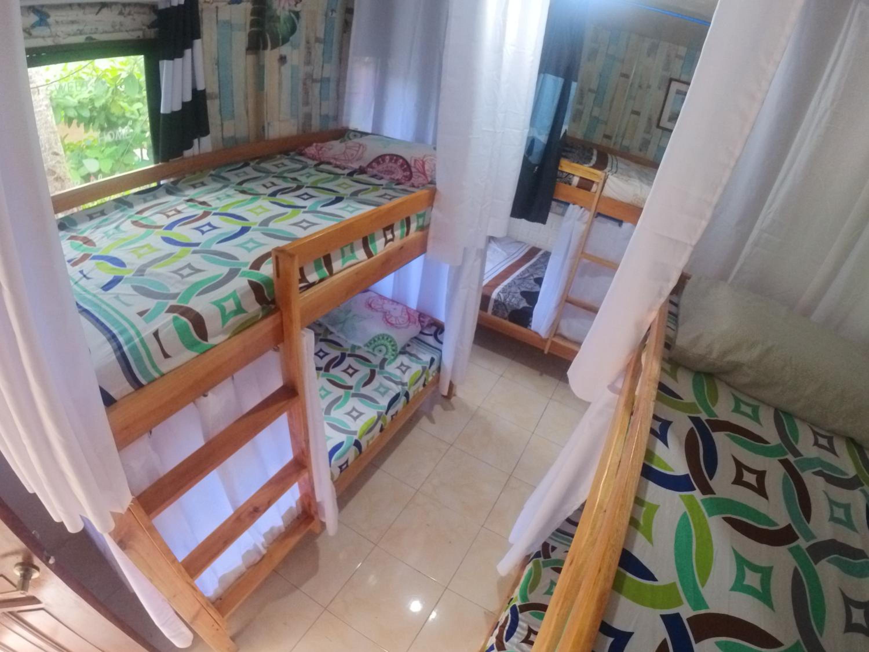 Bunk Bed in Mixed Dormitory Room