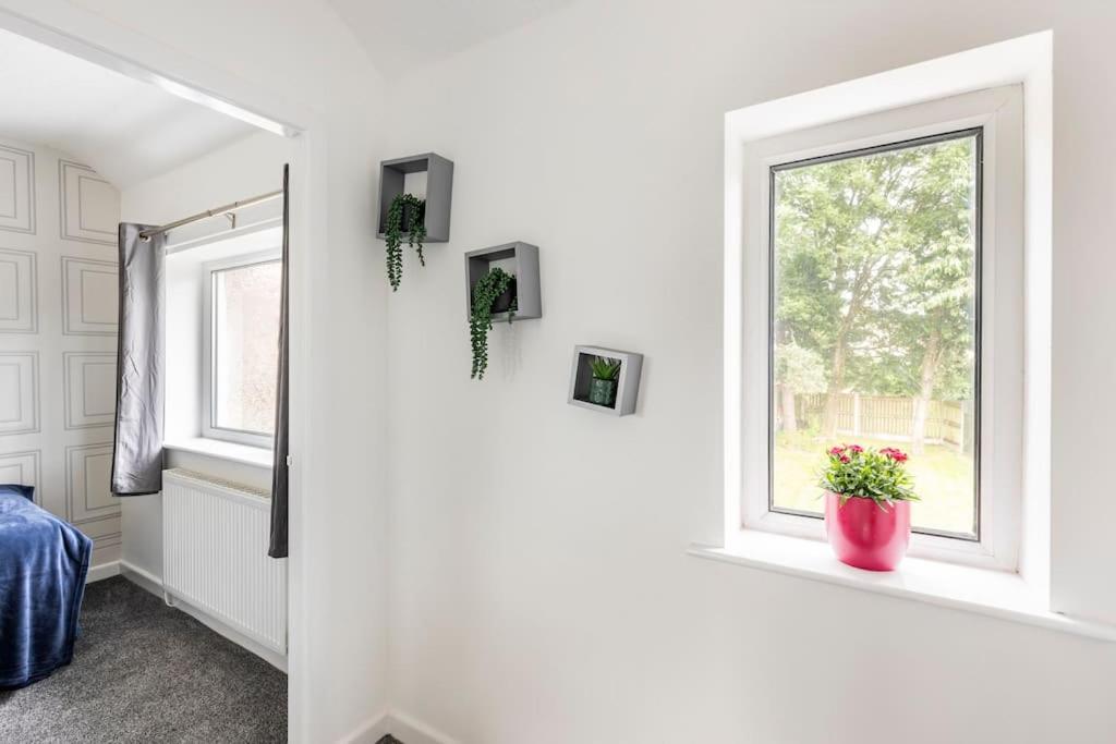 Three-Bedroom House photo 1