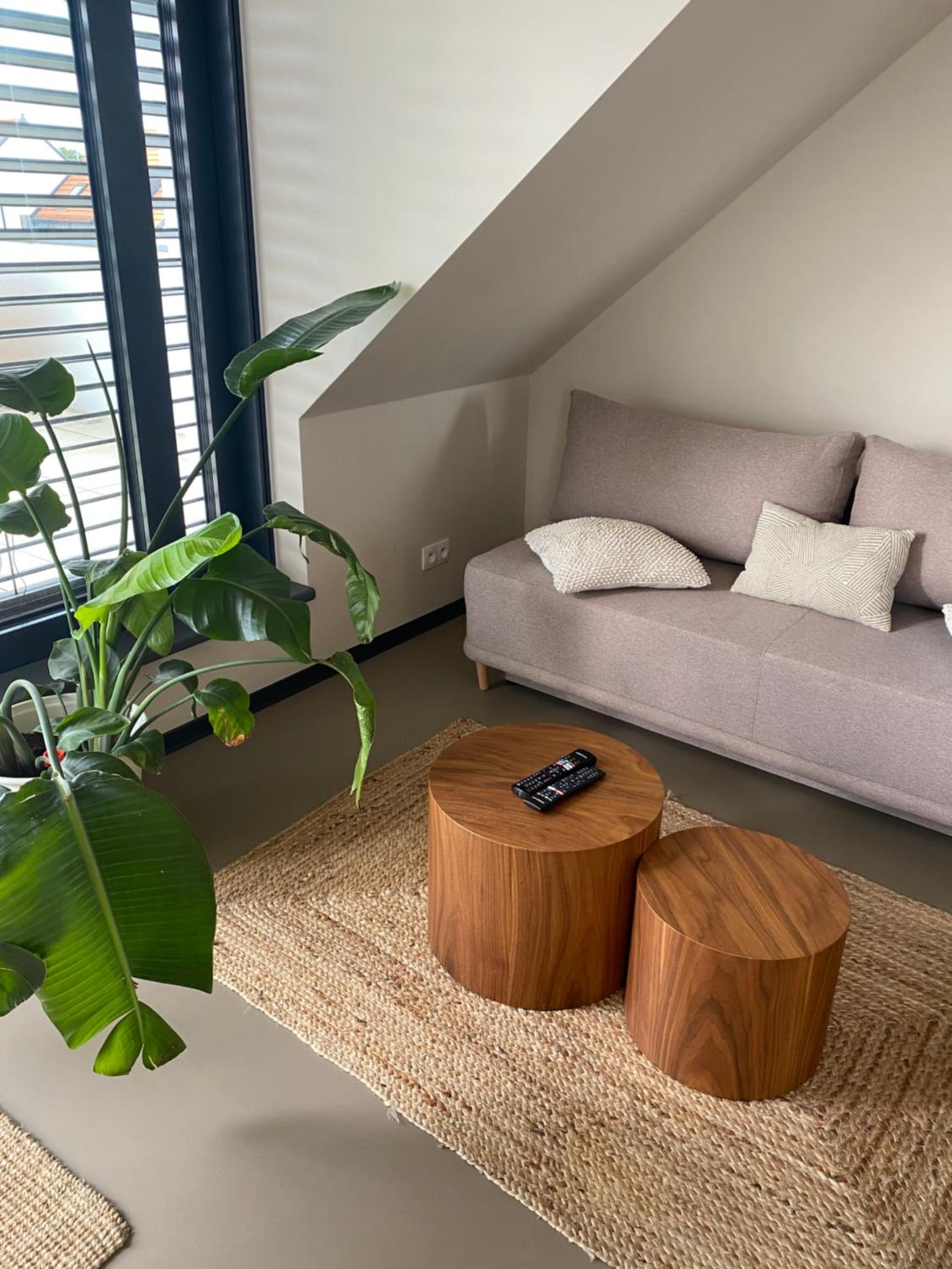 Apartment with Terrace photo 3