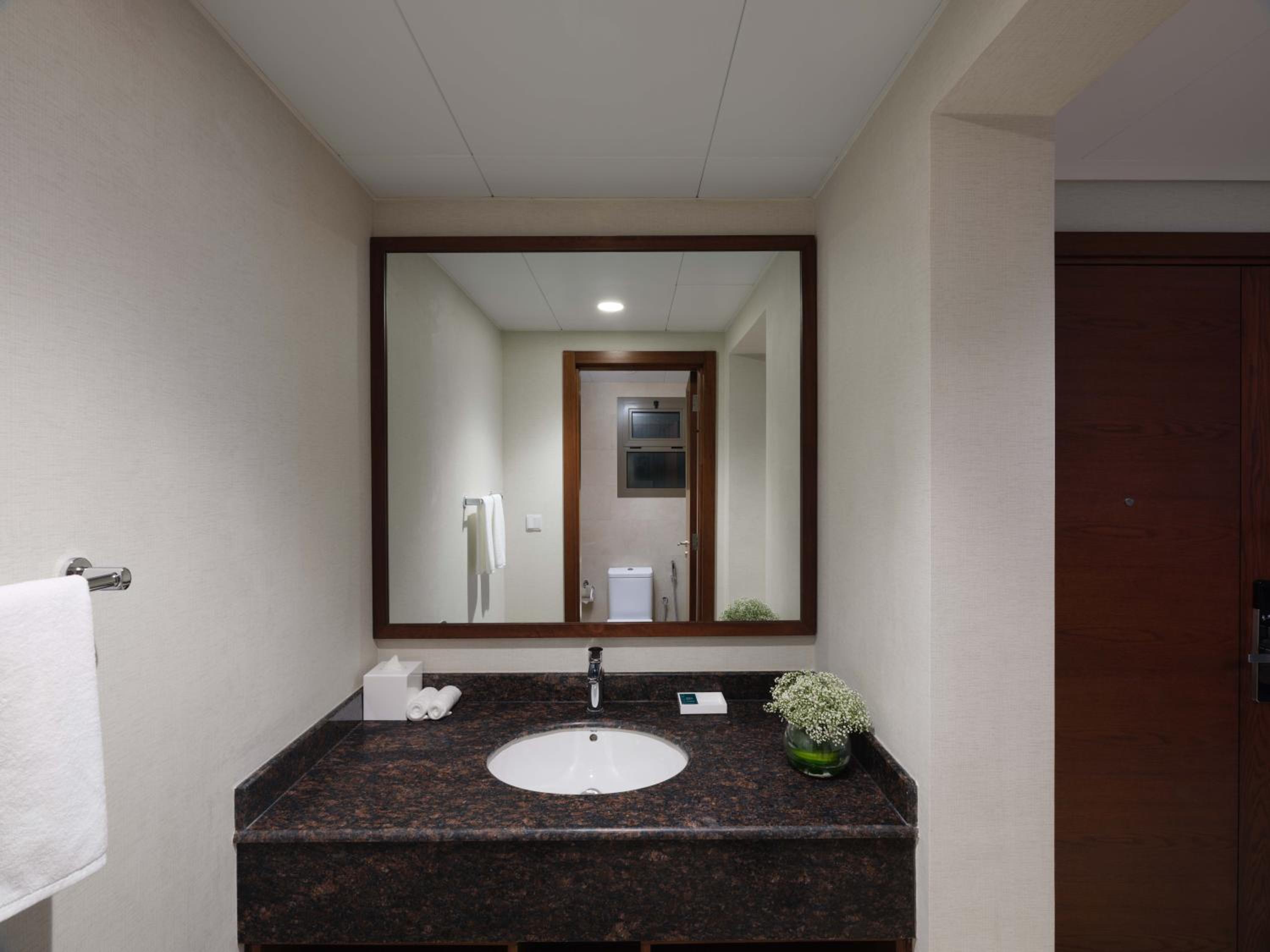 One-Bedroom King Suite - Photo 6