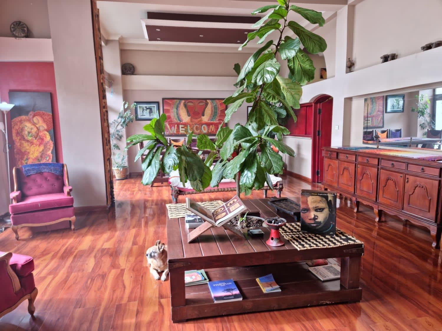 Executive Suite