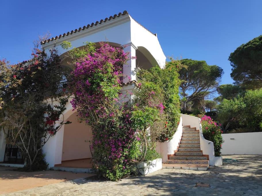 Villa photo 2