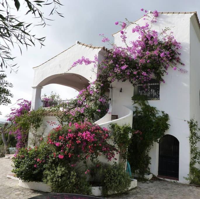 Villa photo 3