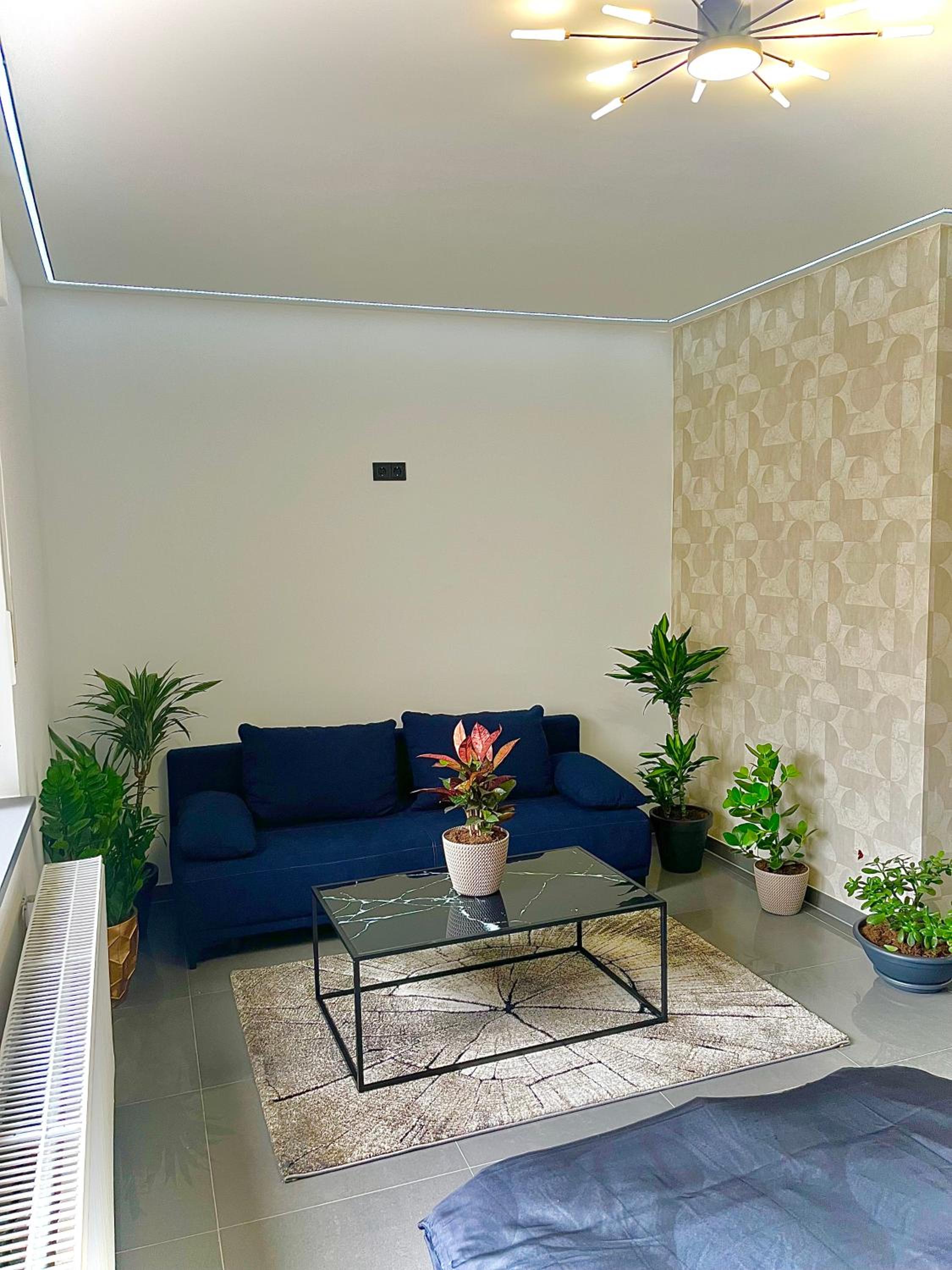 One-Bedroom Apartment photo 1