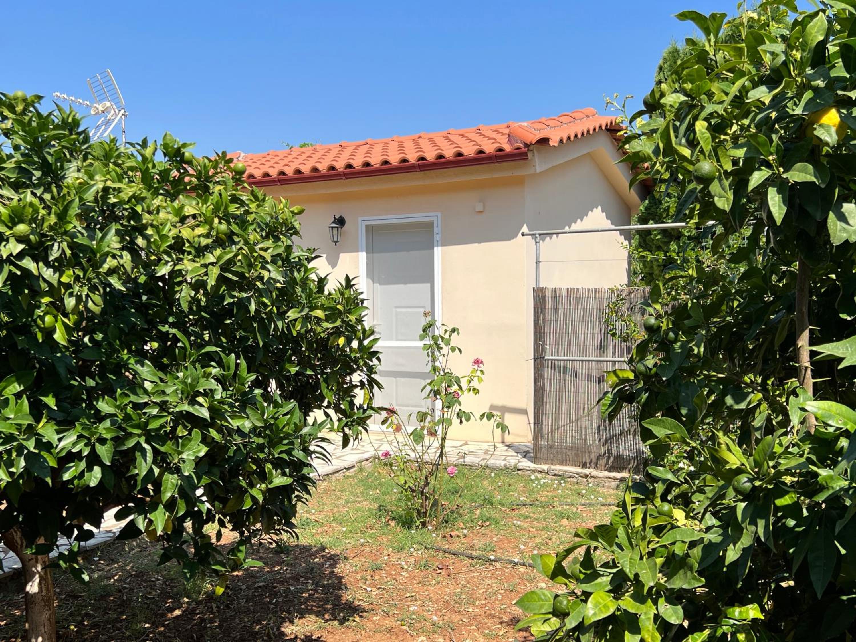 One-Bedroom House photo 2