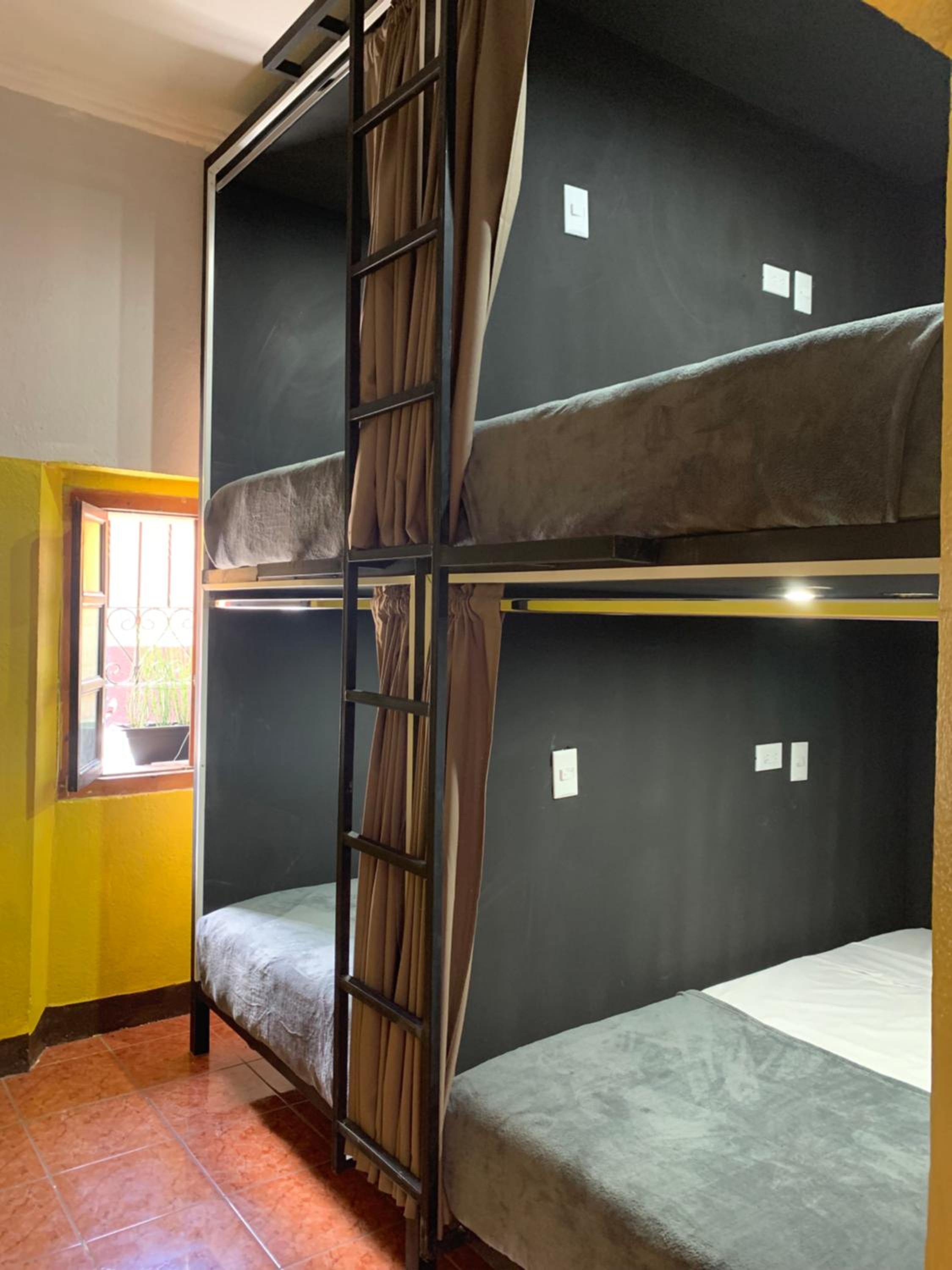 Bunk Bed in Mixed Dormitory Room photo 3