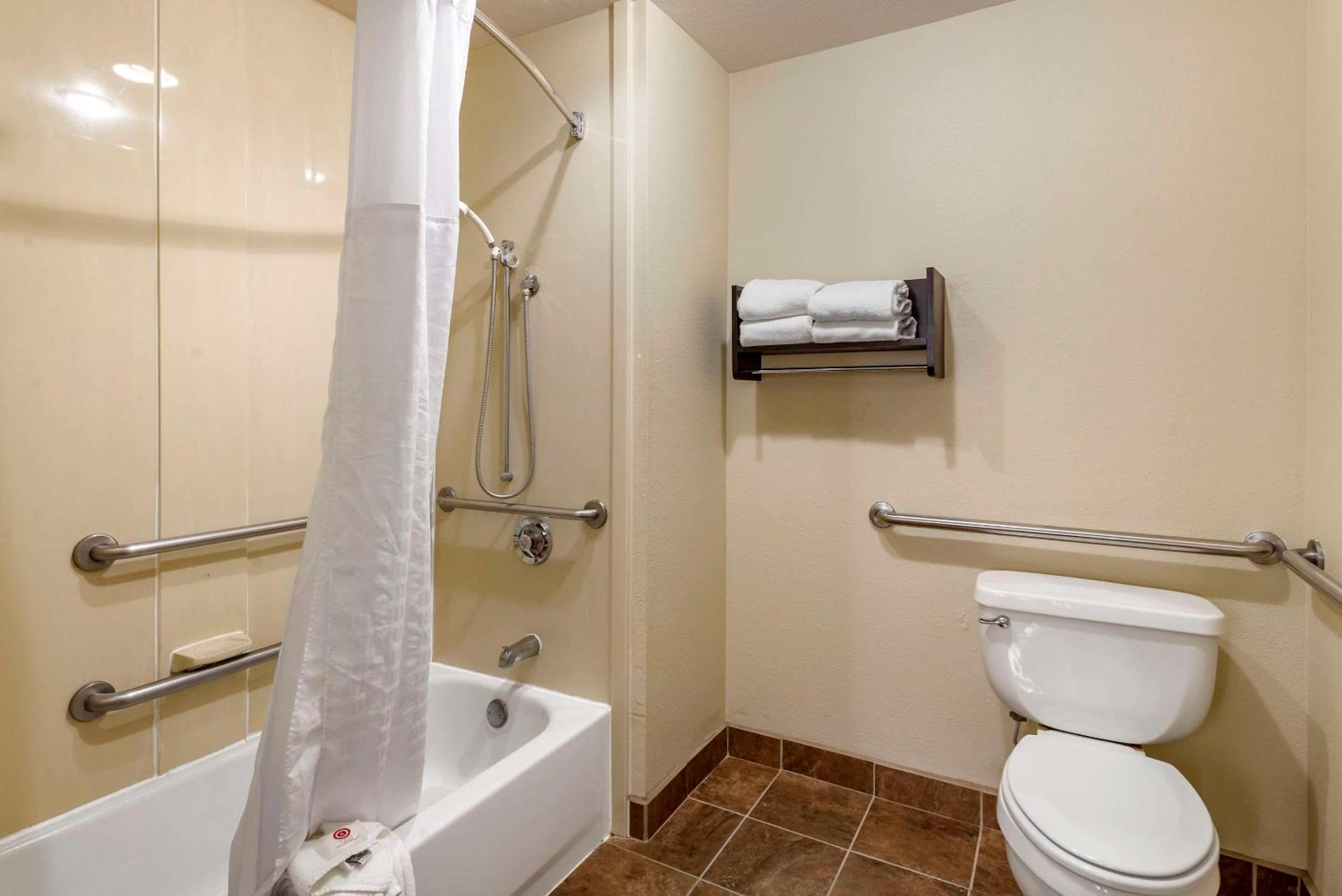King Suite with Sofa Bed - Accessible/Non Smoking - Photo 8