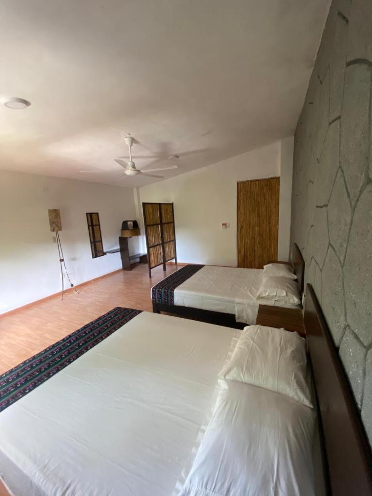 Double Room with Two Double Beds photo 3