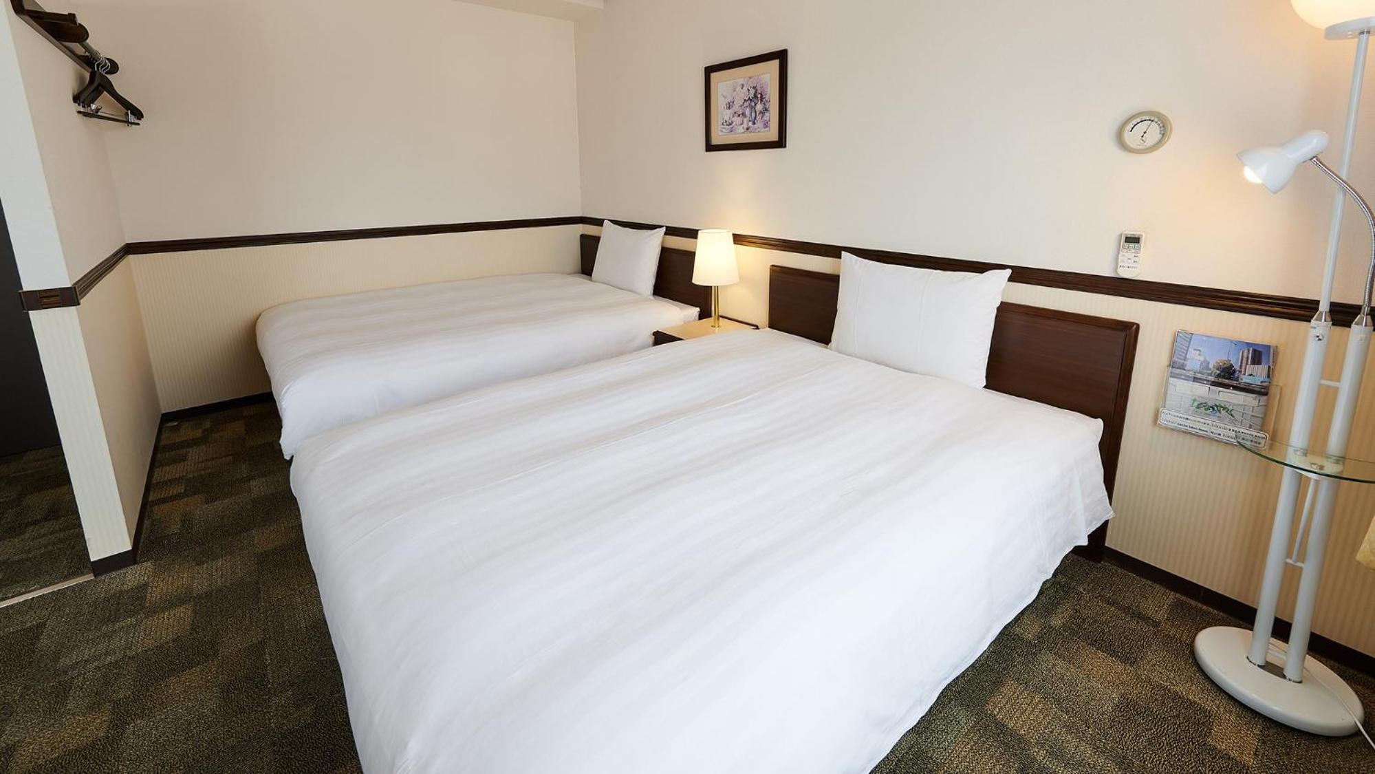 Deluxe Twin Room - Non-Smoking