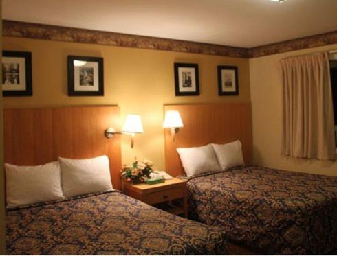 Standard Room with Two Double Beds - Photo 3