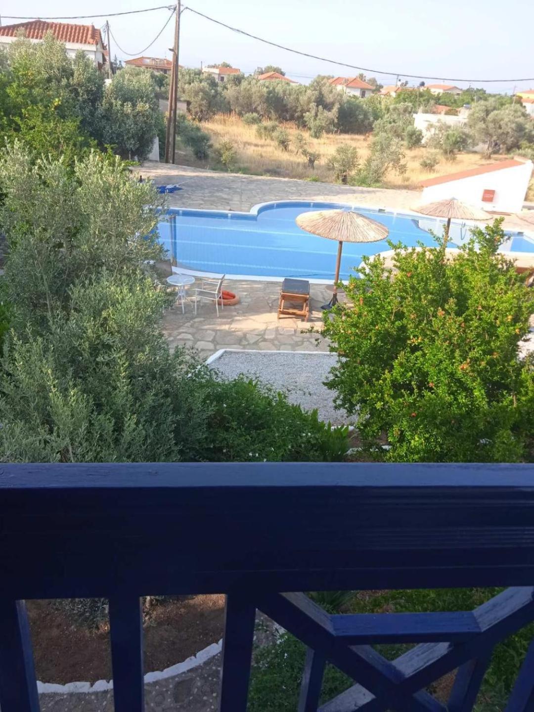 Apartment with Garden View photo 3