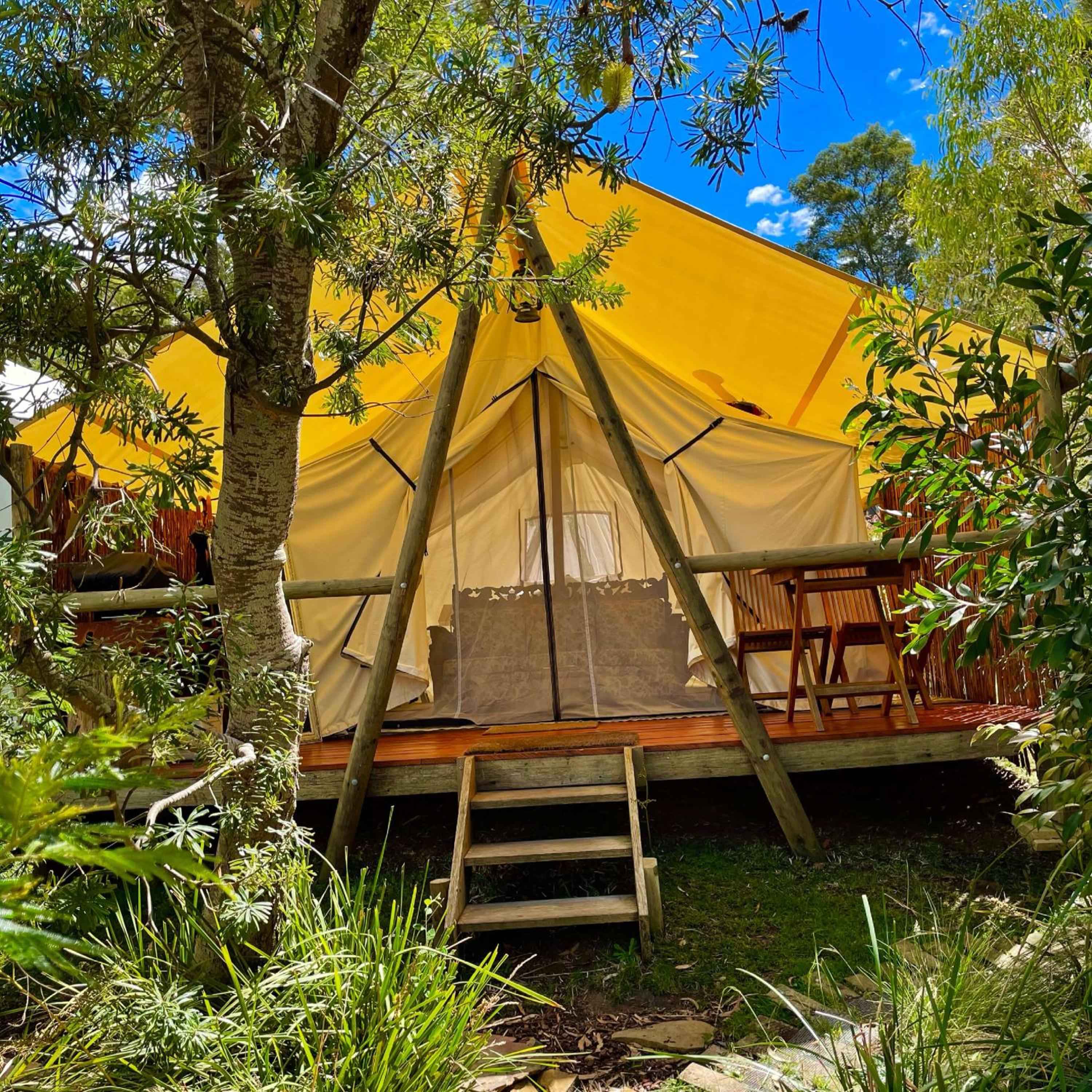 Tent photo 2