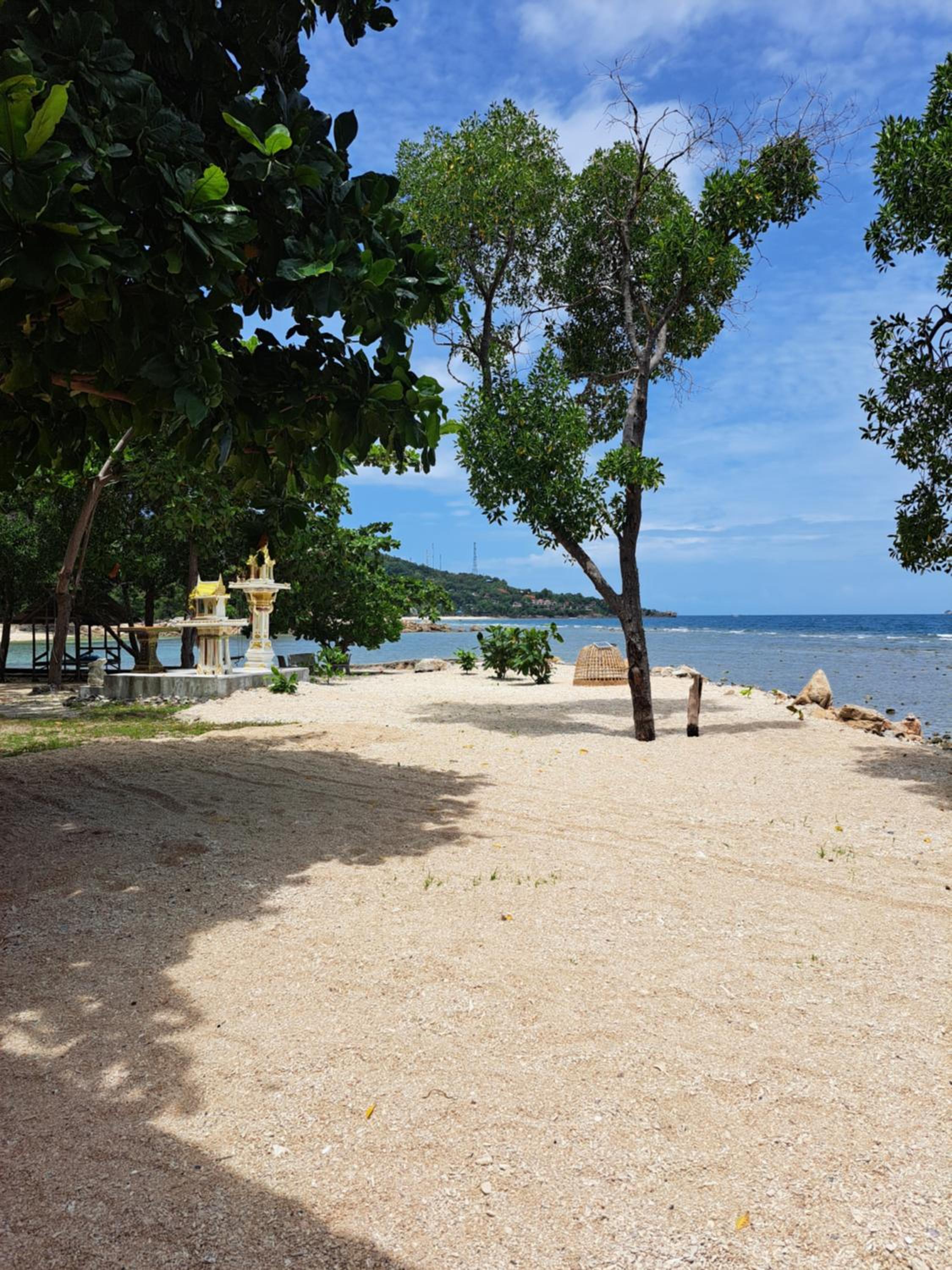 Deluxe Bungalow - Photo 4