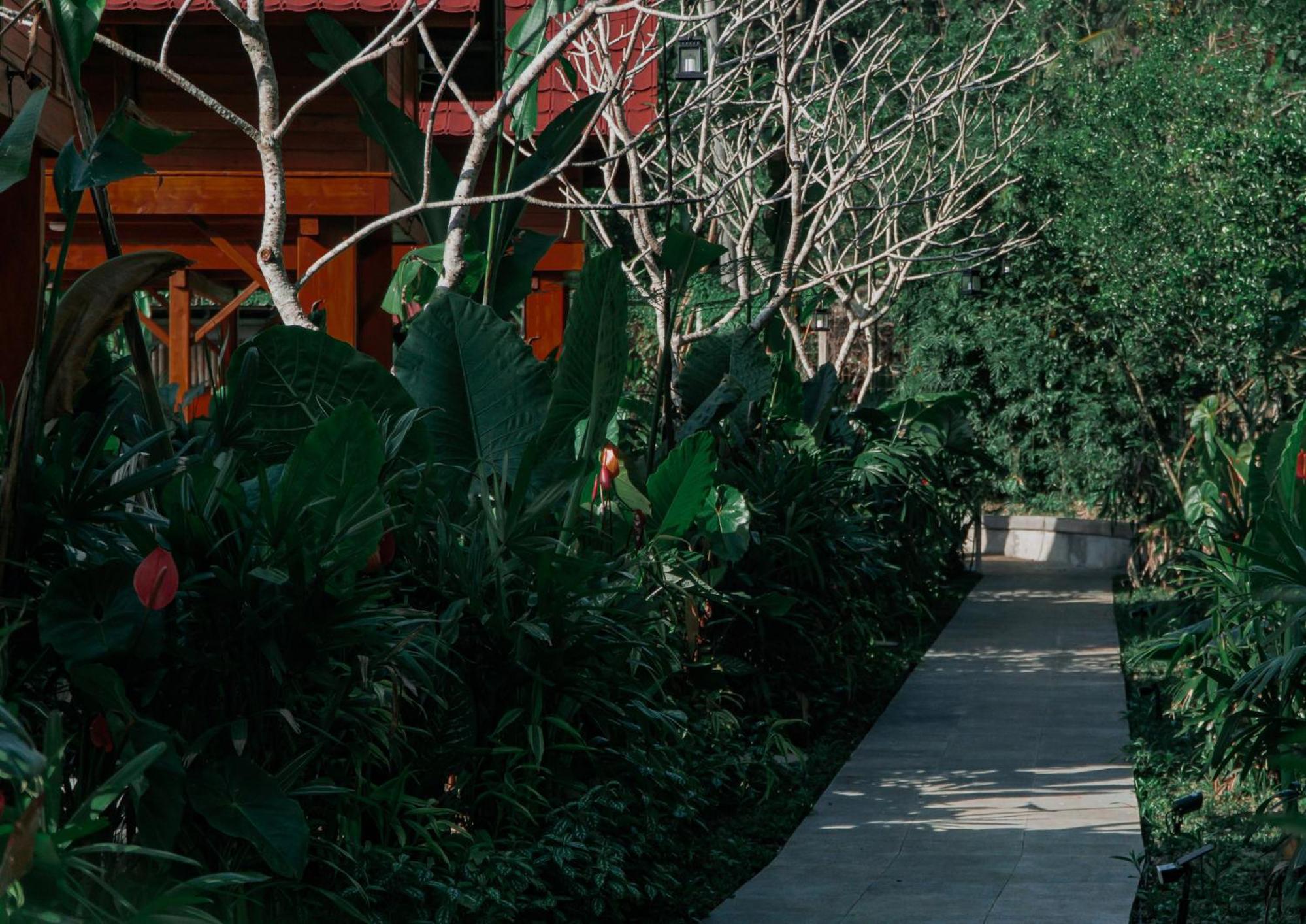 Lumbung Lodge with Private Pool with Free Scheduled Yoga Class (on Saturday) - Photo 12