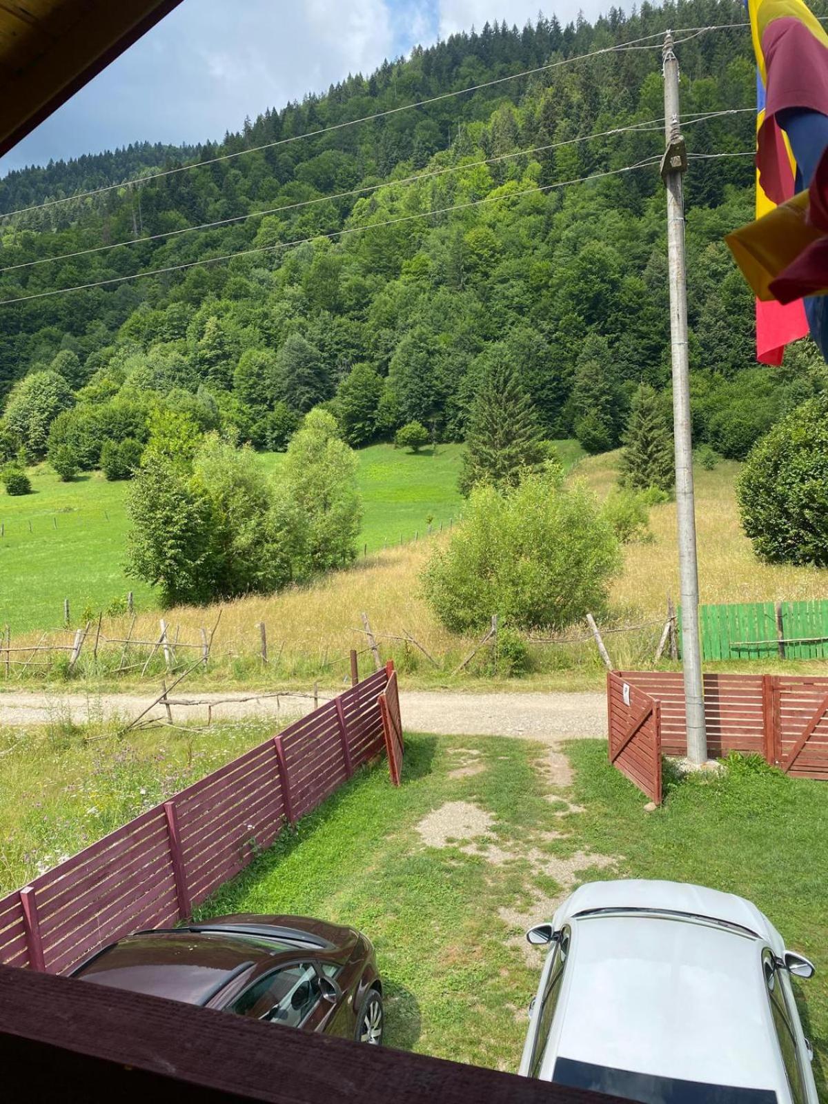 Standard Villa photo 3