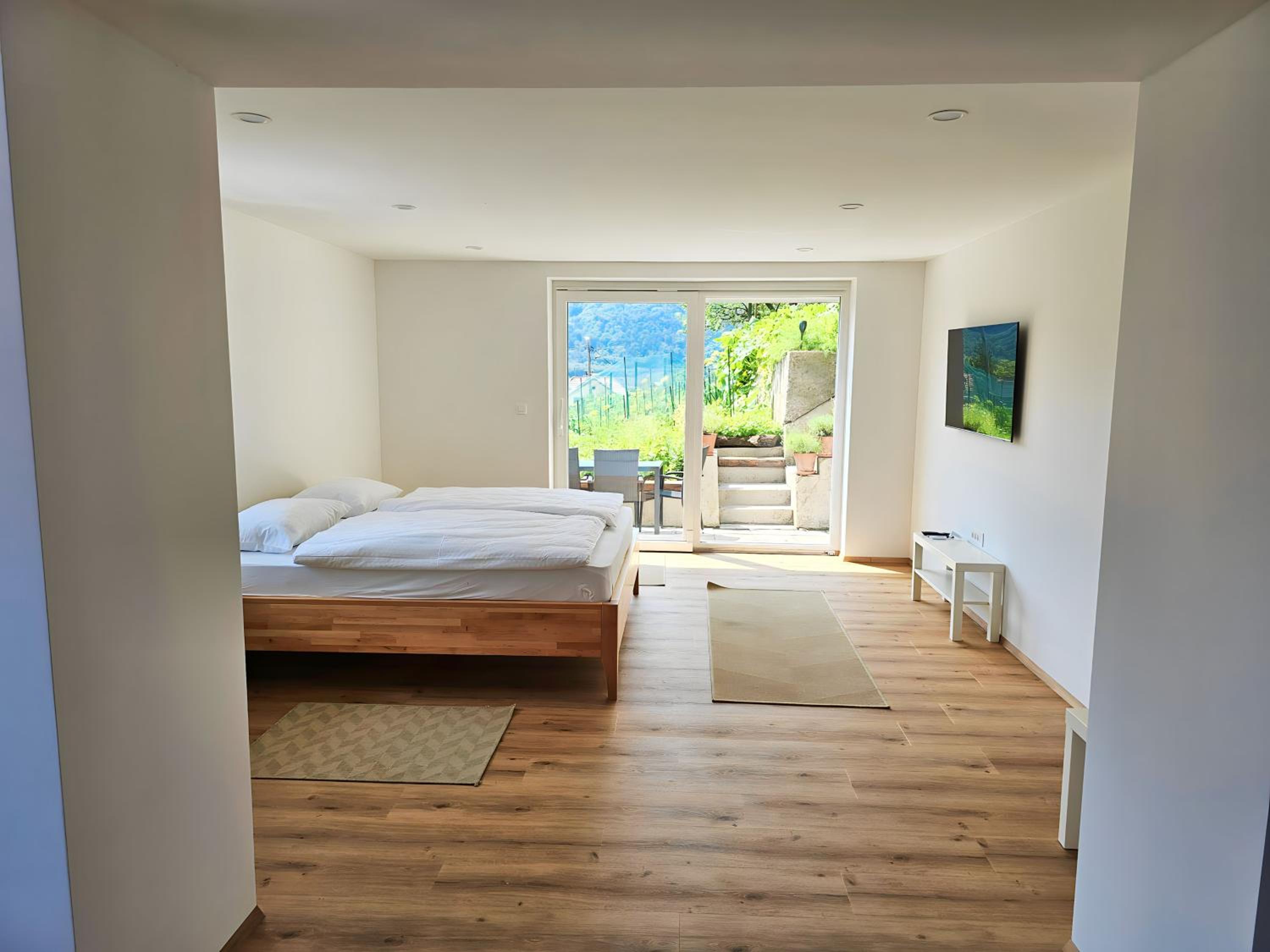Studio with Terrace - Photo 4