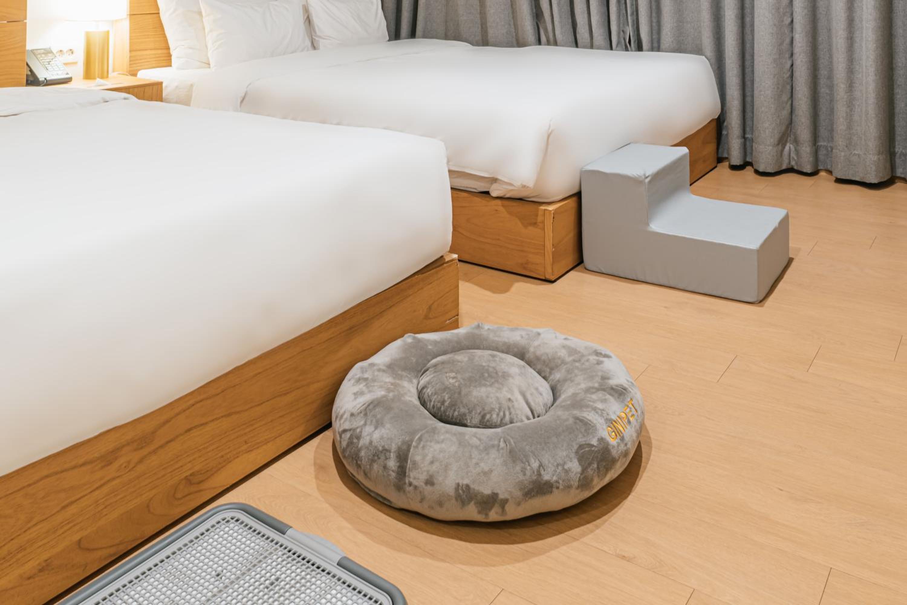 Pet Suite with Seaview - Photo 19