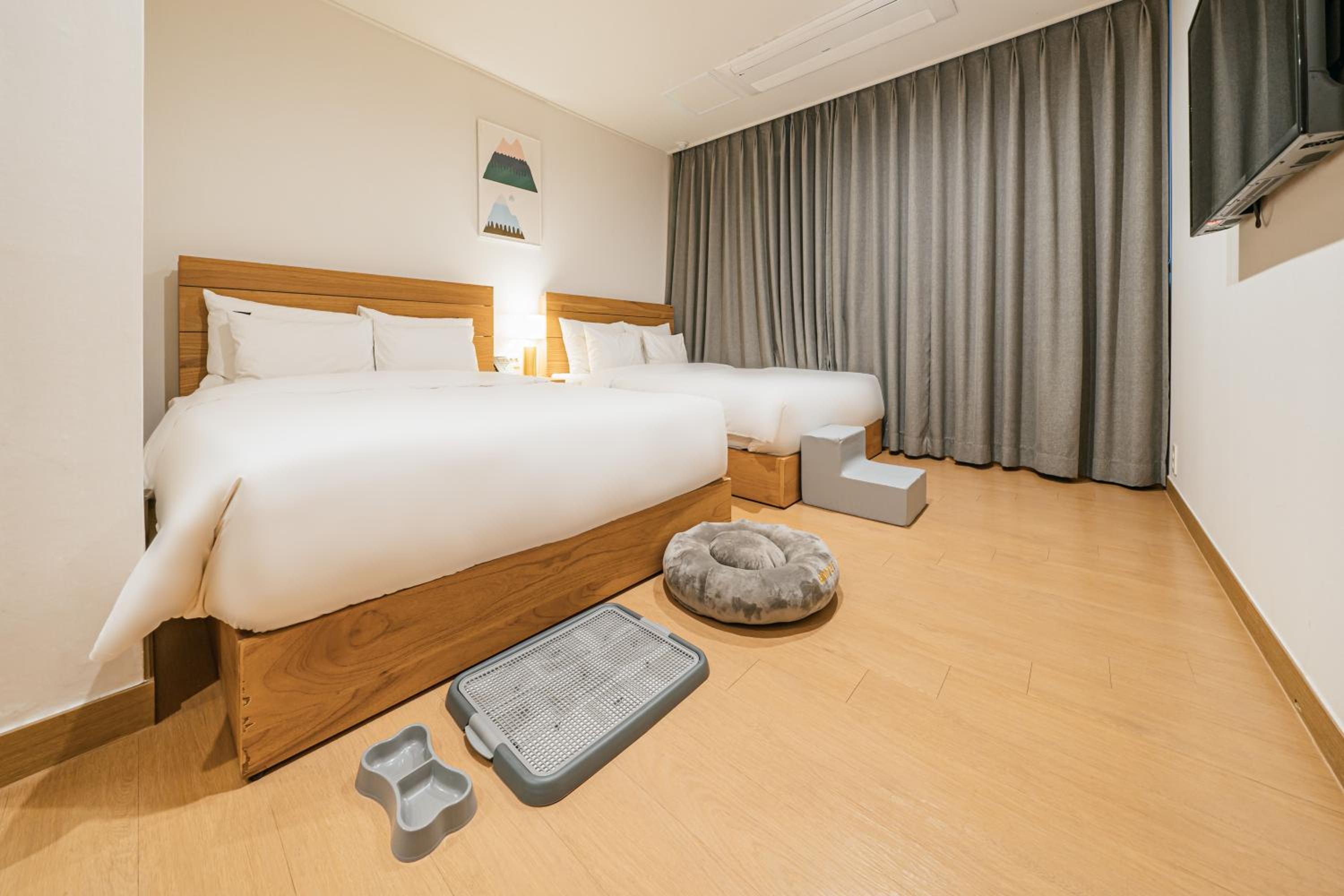 Pet Suite with Seaview - Photo 20