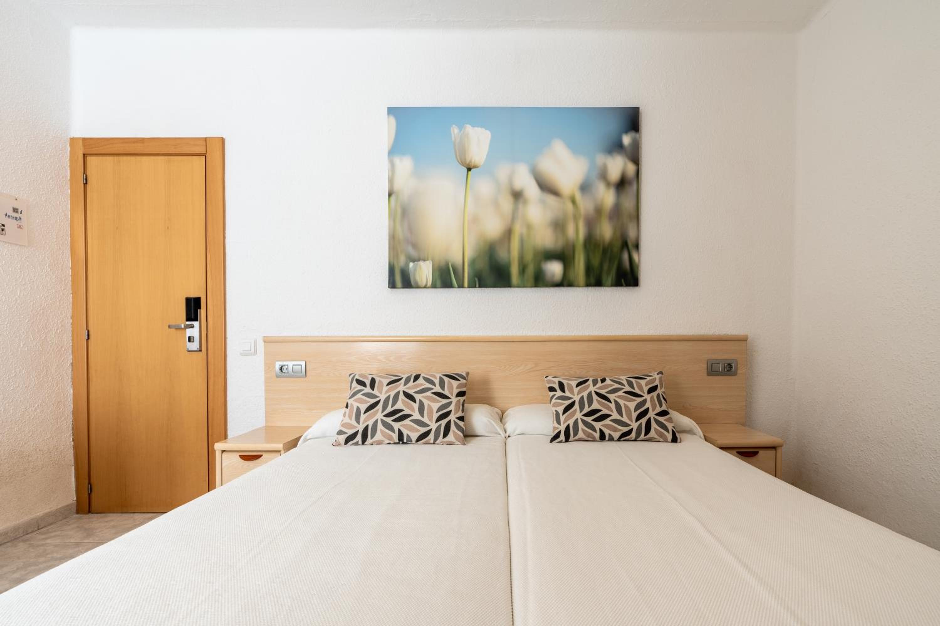 Basic Twin Room photo 3