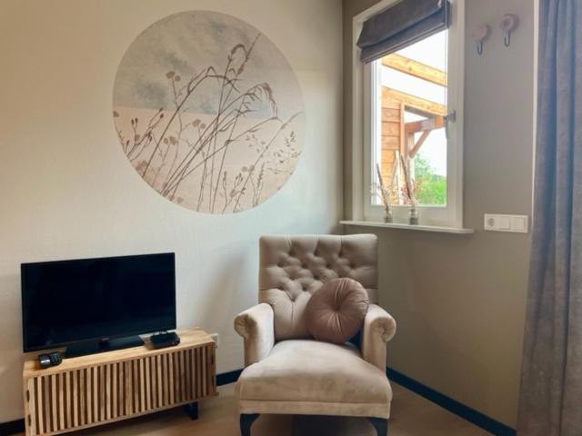 Studio with Terrace photo 1