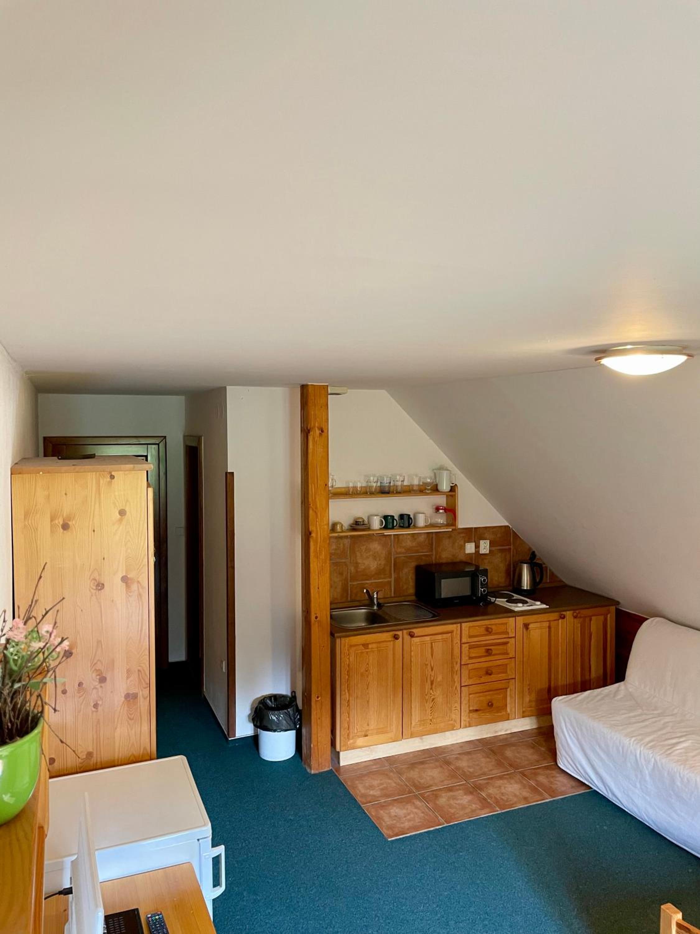 Standard Apartment photo 2