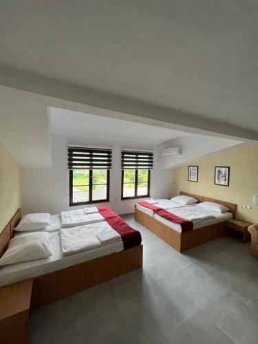 Comfort Quadruple Room photo 1