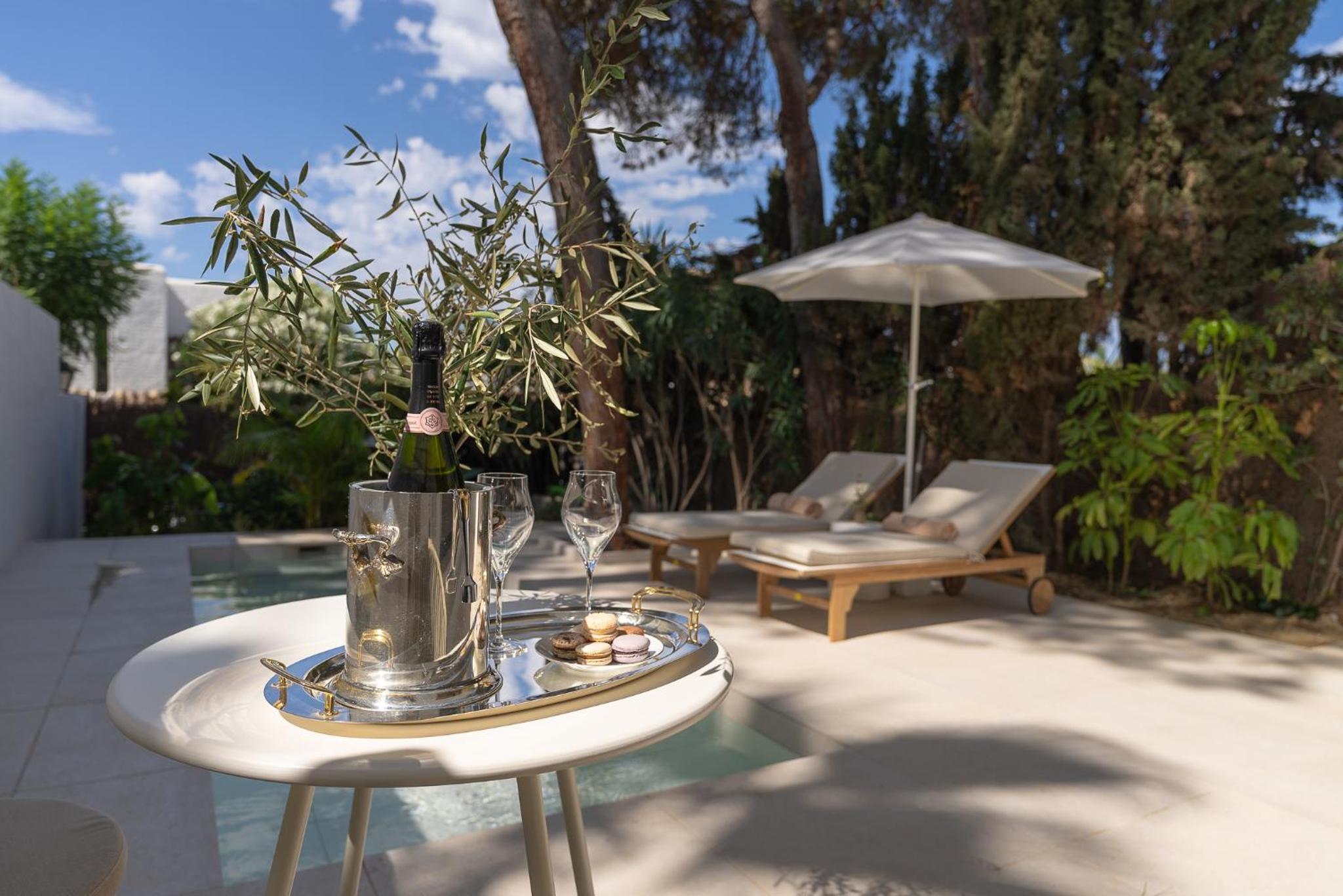 Premium Suite with Plunge Pool - Photo 11