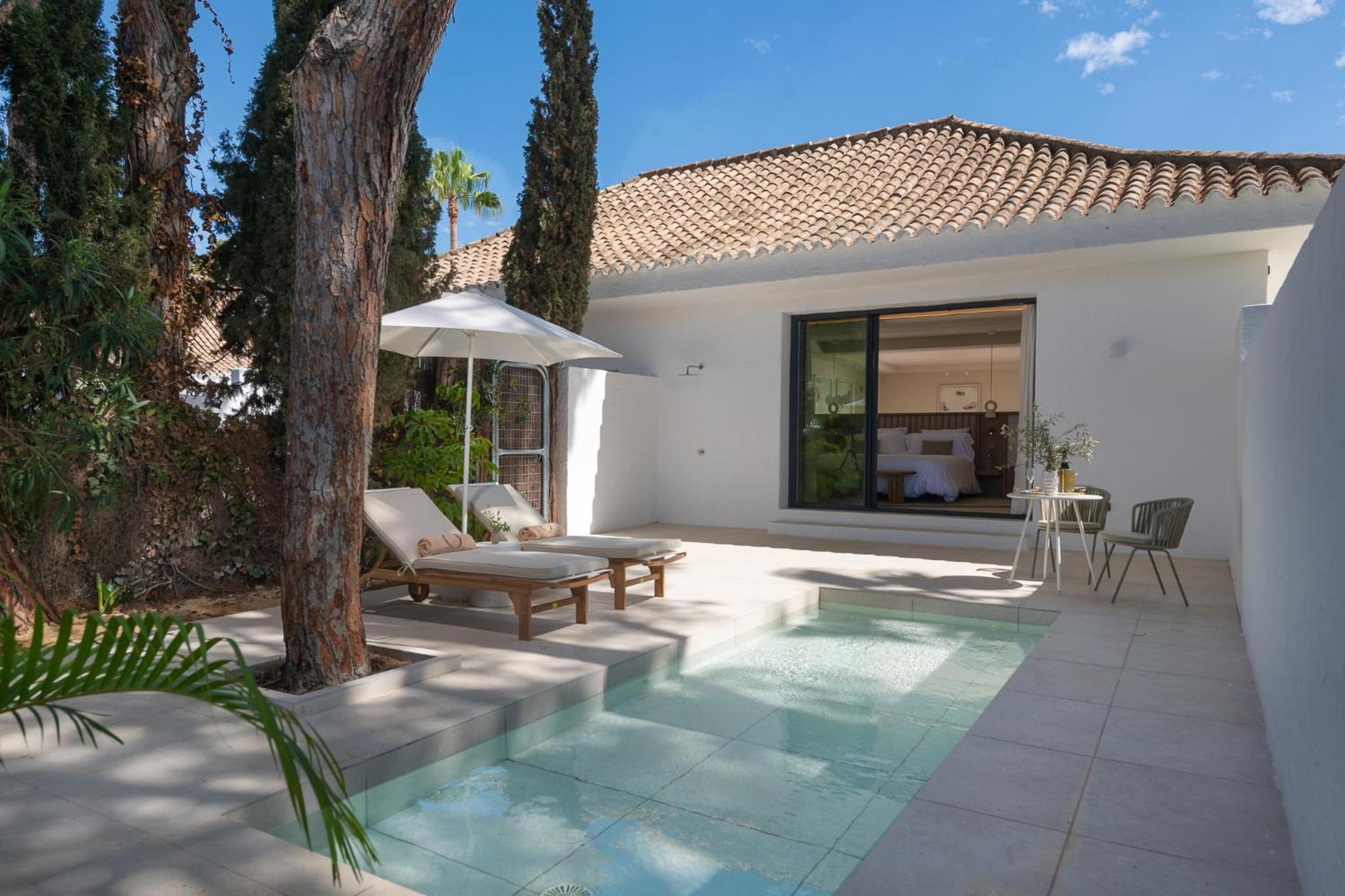 Premium Suite with Plunge Pool - Photo 5