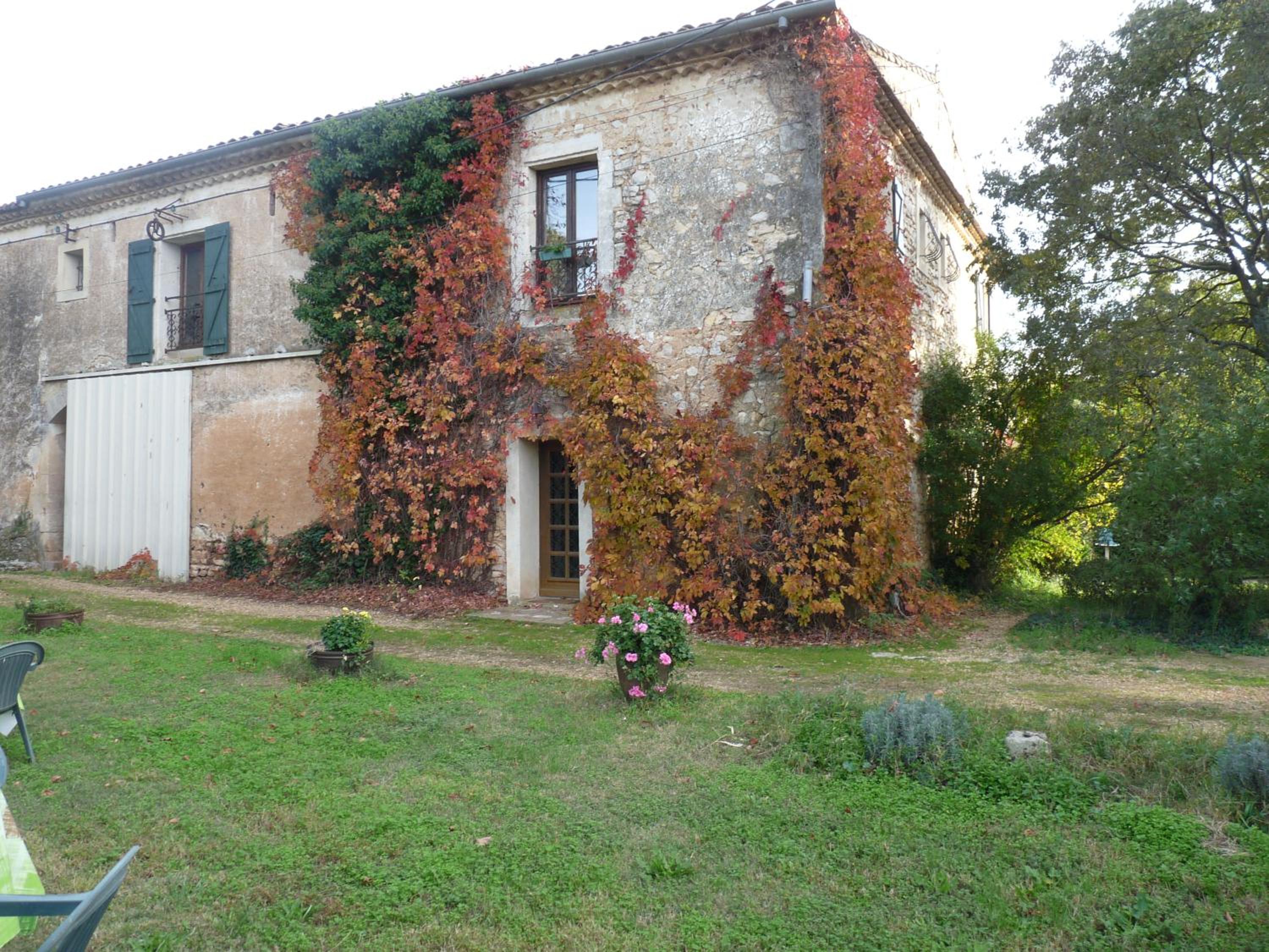 Single Room with Garden View