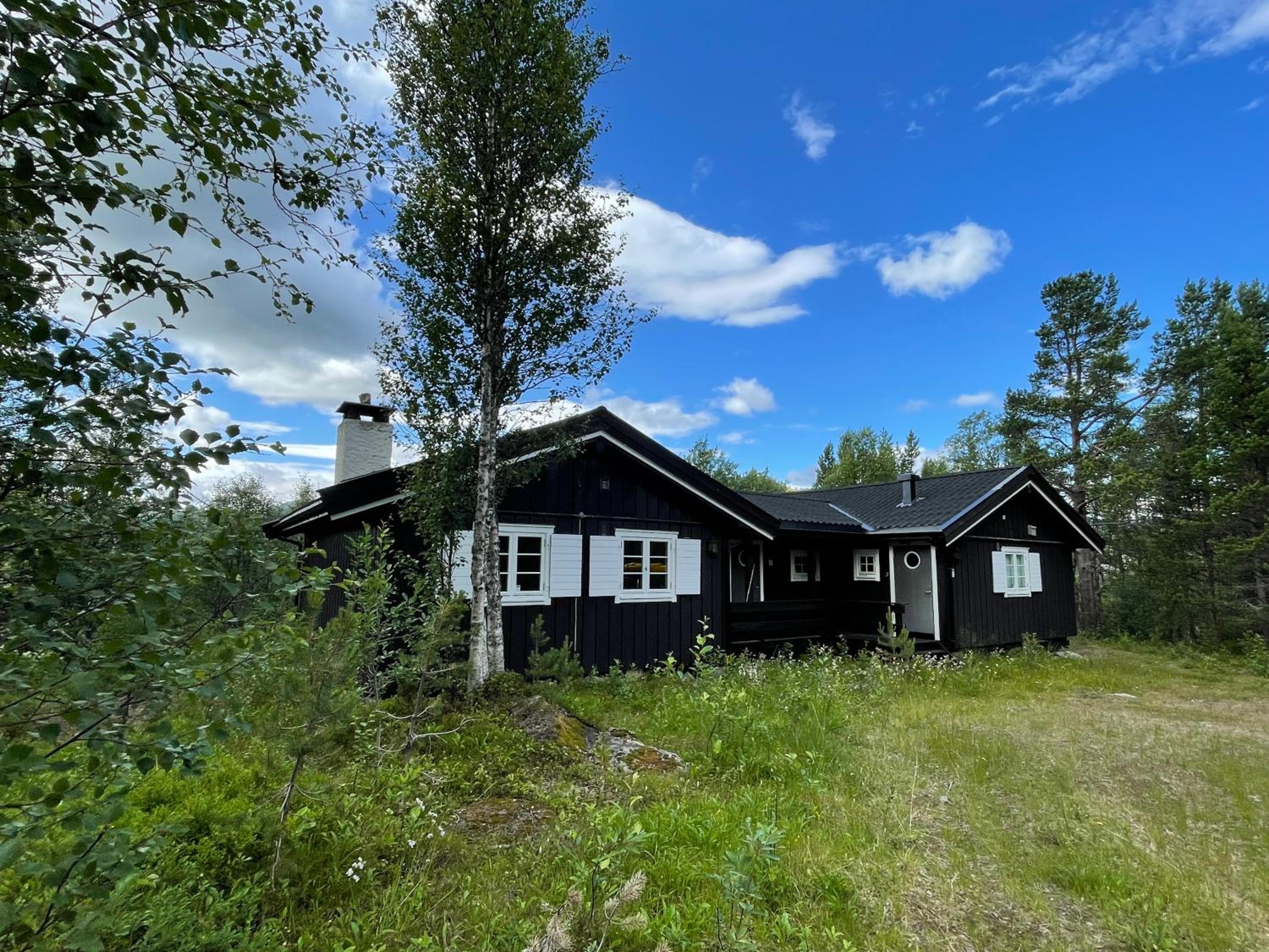 Four-Bedroom House photo 2