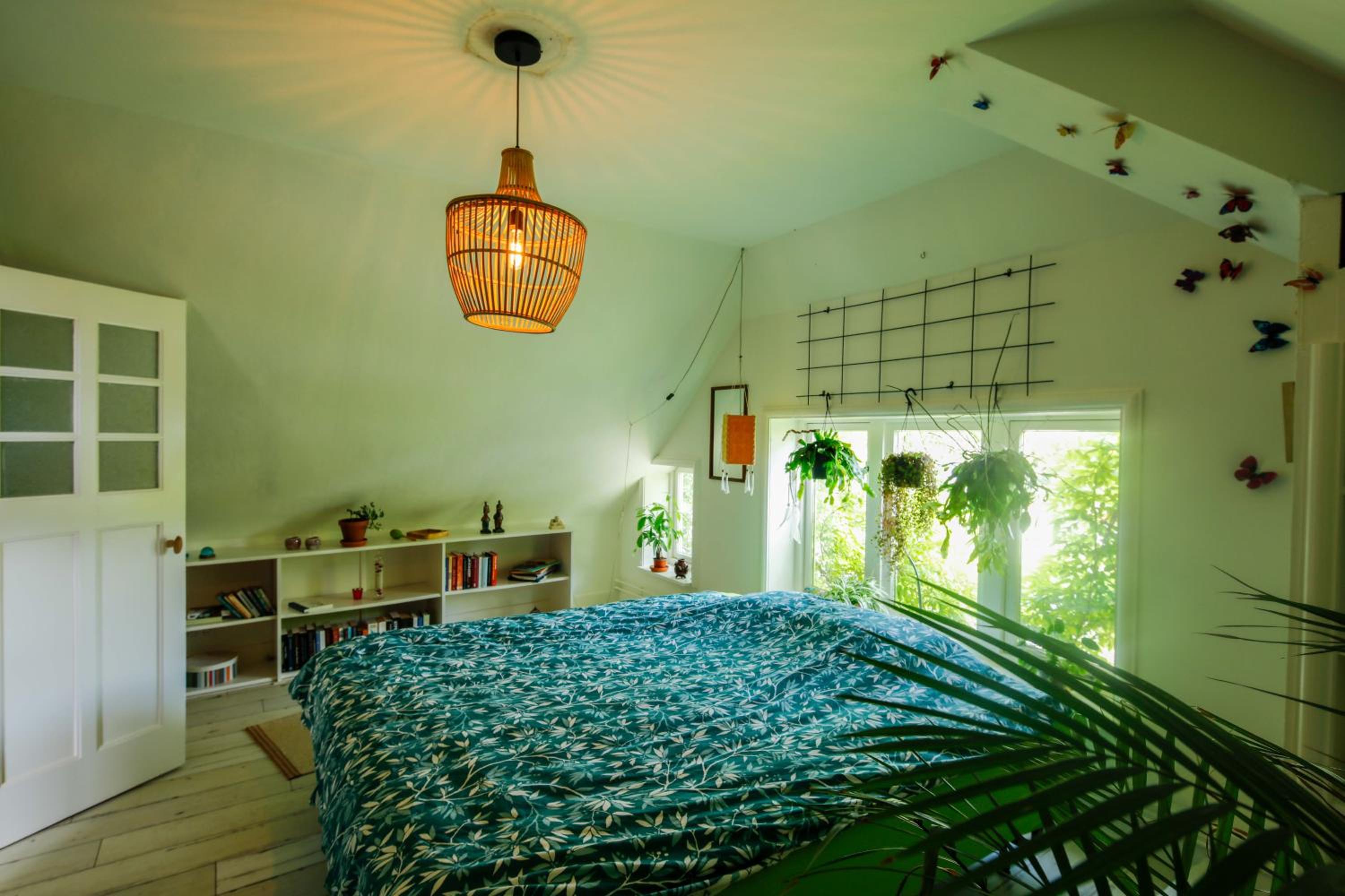 King Room photo 1