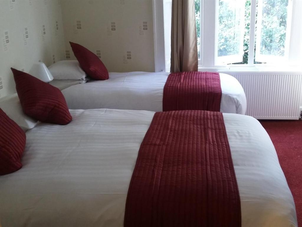 Triple Room photo 3