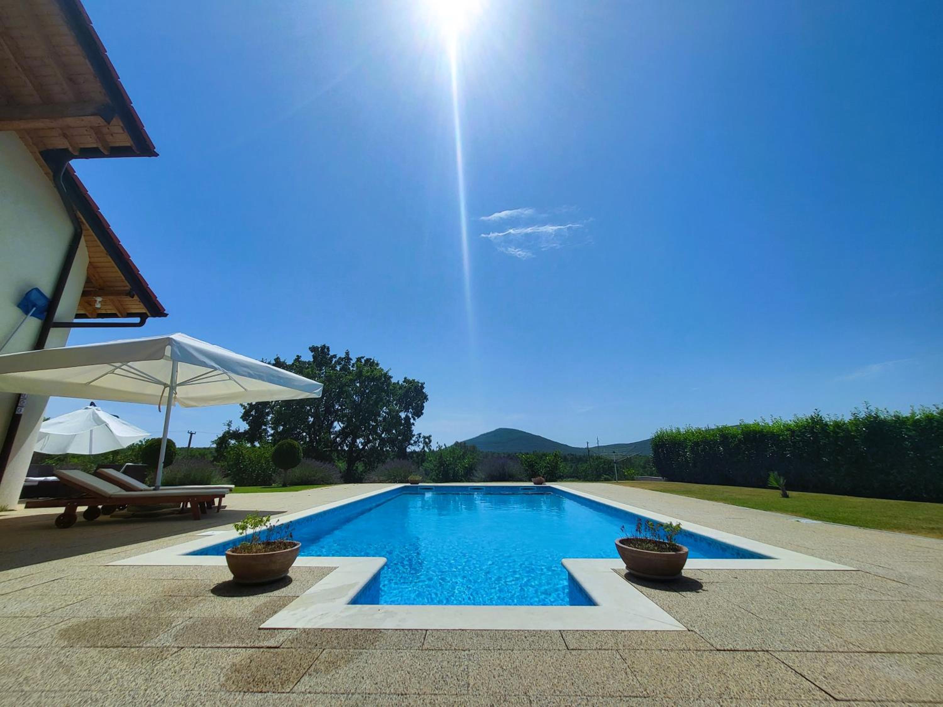 Deluxe Villa photo 3