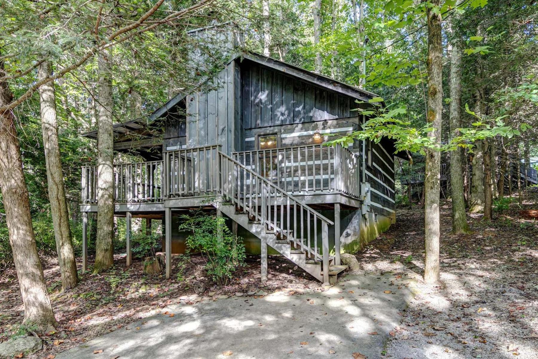 Deluxe One-Bedroom Cabin - Pet Friendly  - Photo 2