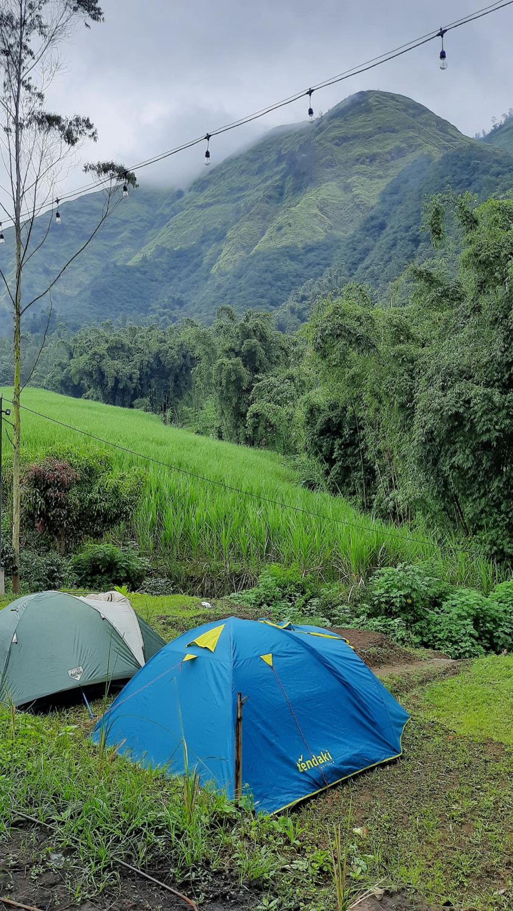 Tent - Photo 4