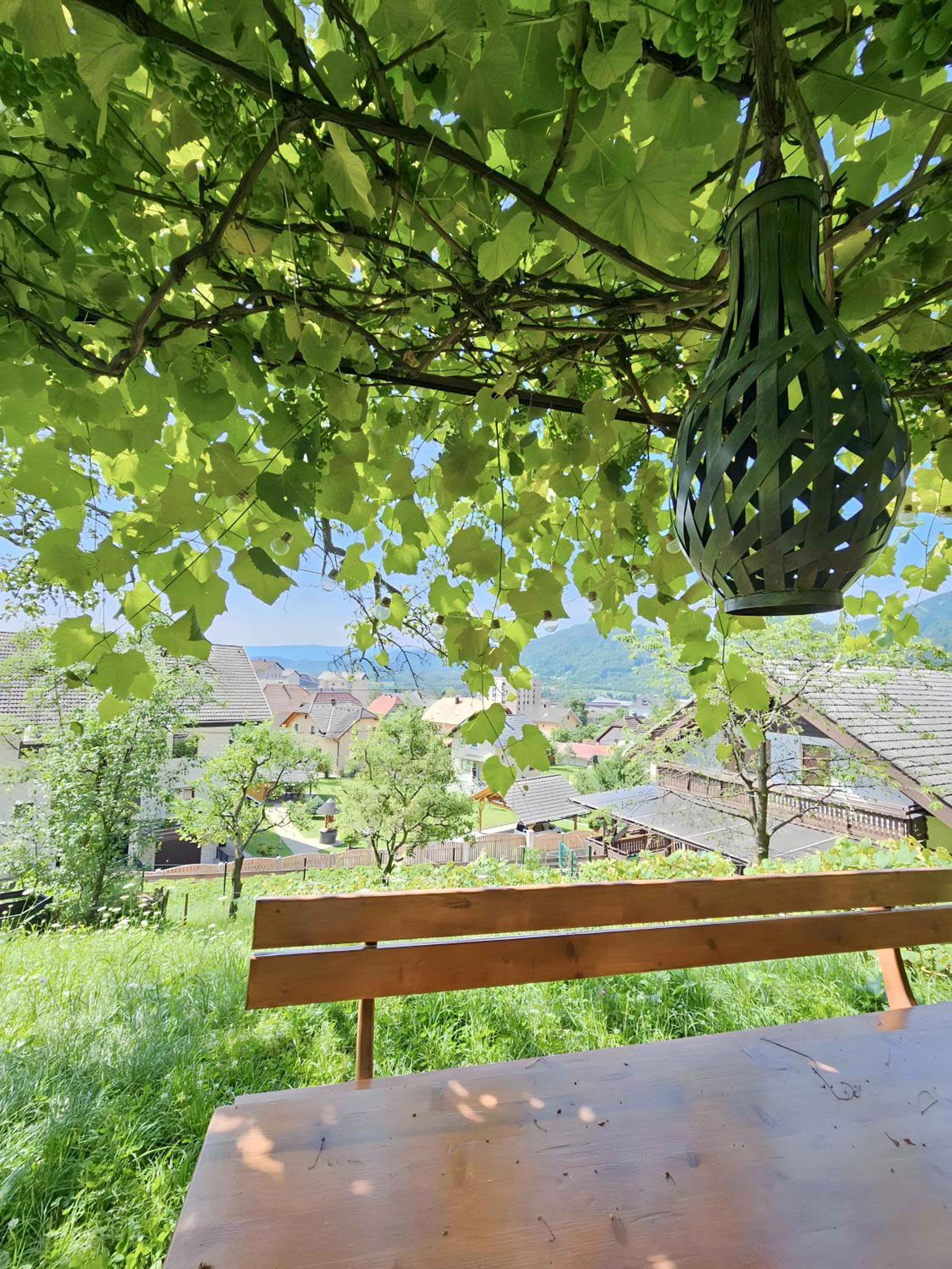 Studio with Terrace - Photo 15