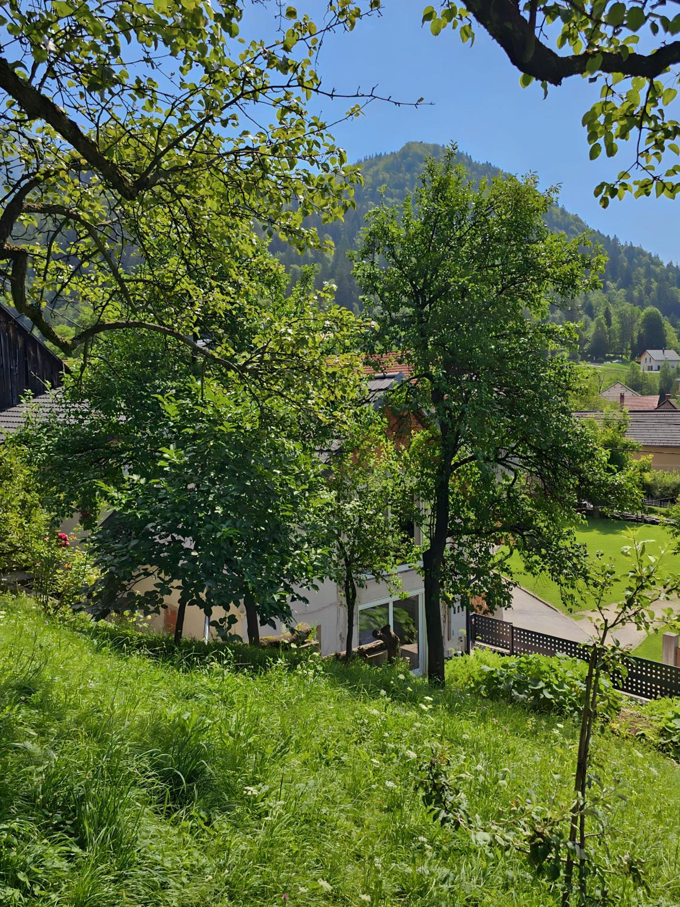 Studio with Terrace - Photo 16