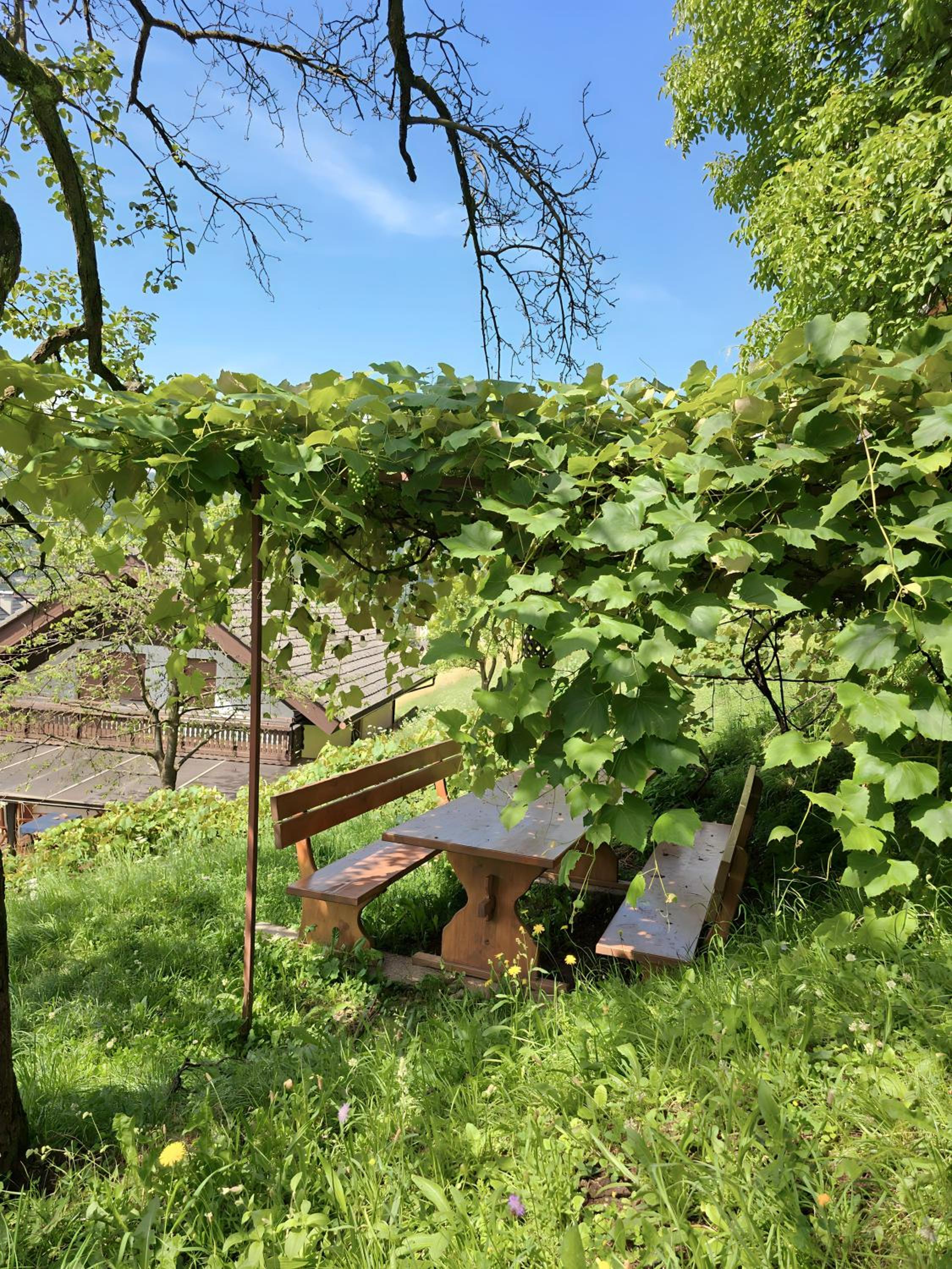 Studio with Terrace - Photo 17