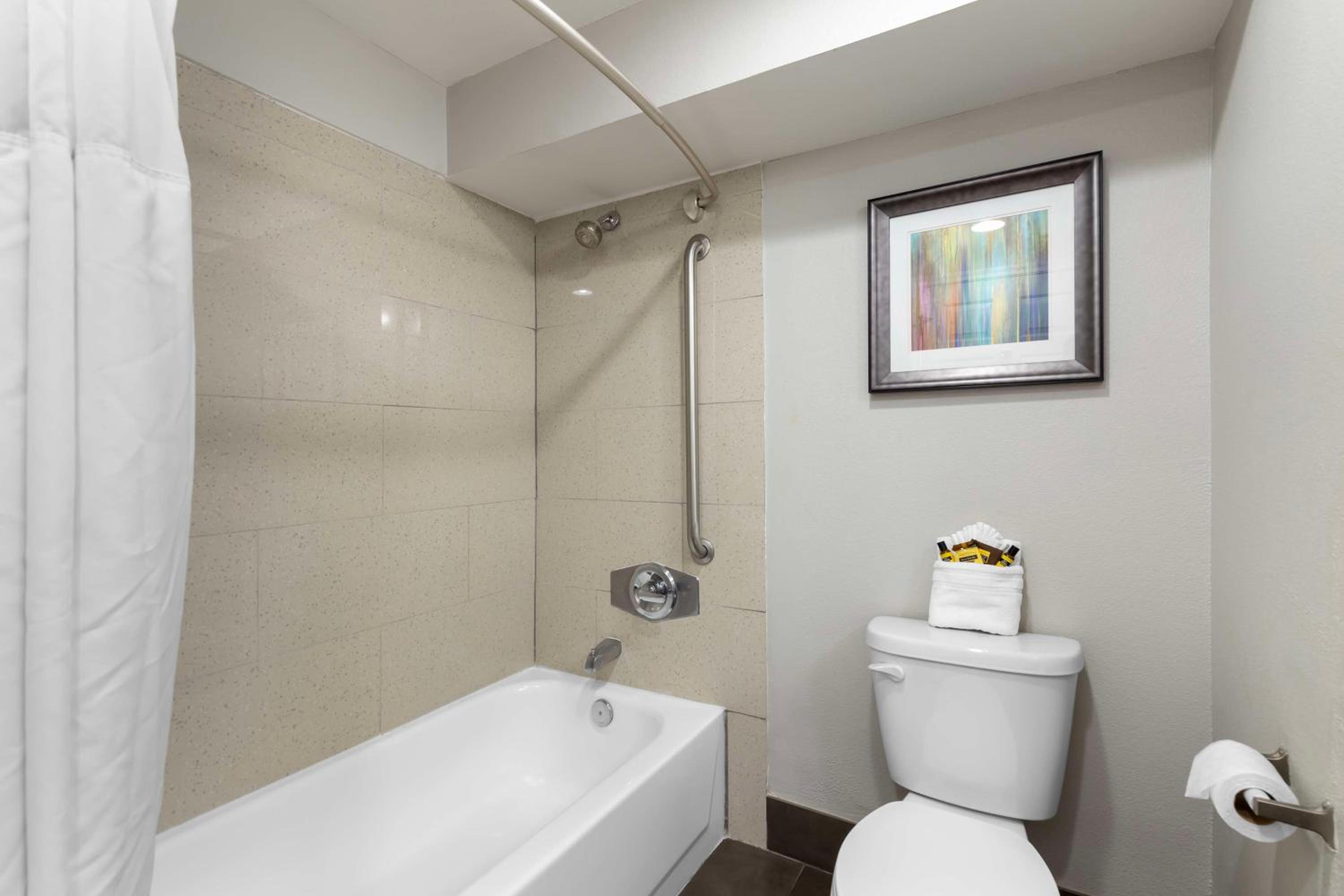 One-Bedroom Suite - Photo 2