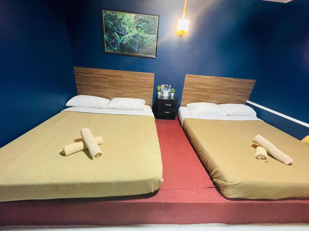 Deluxe Quadruple Room - Photo 8